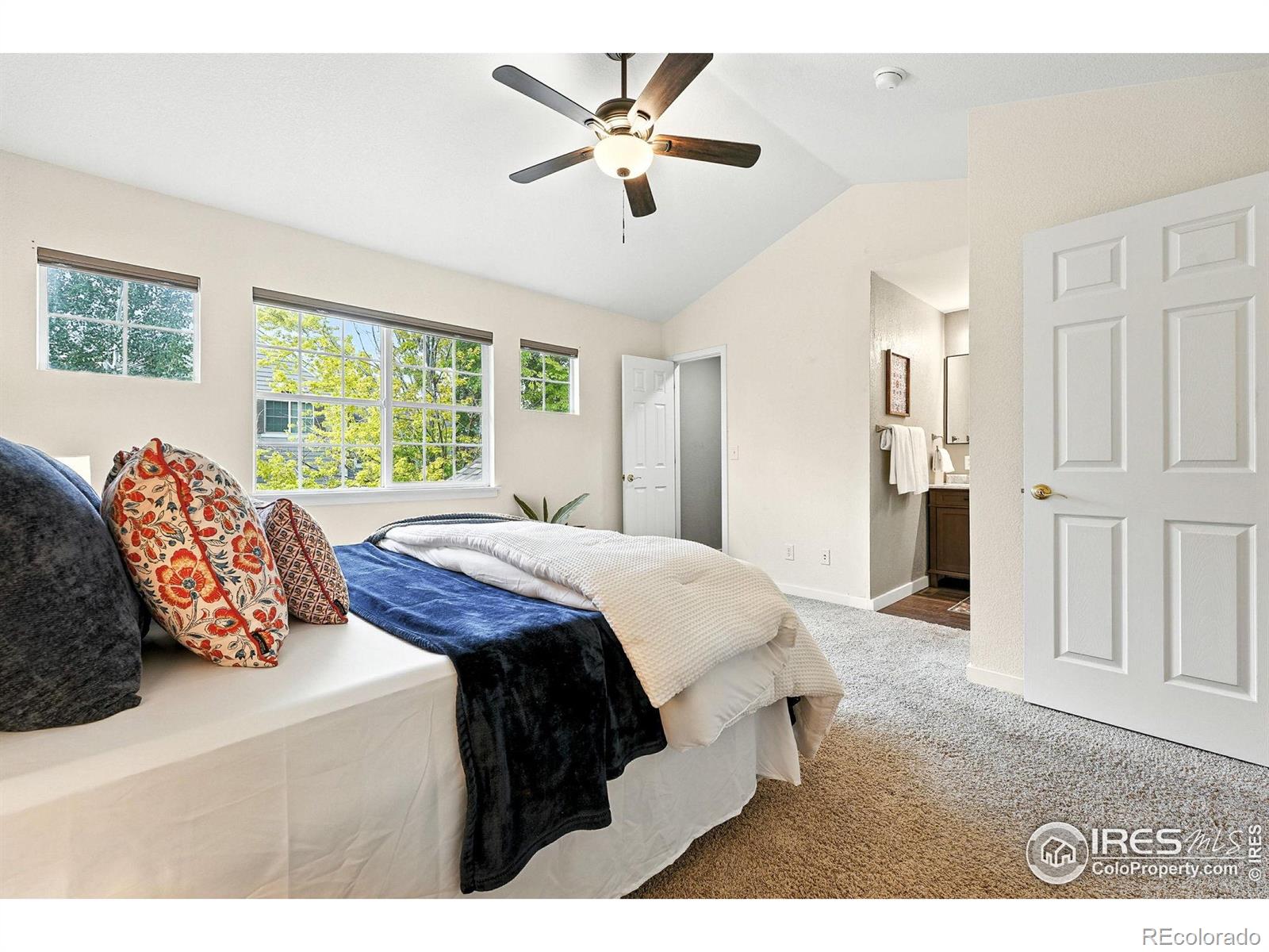 MLS Image #20 for 709  snowberry street,longmont, Colorado