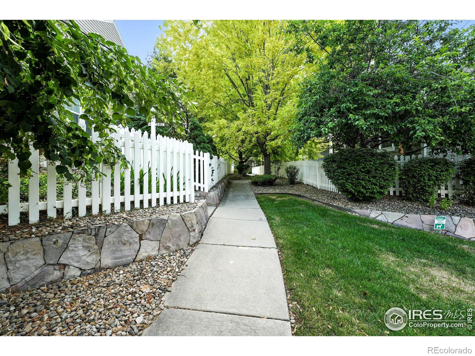 MLS Image #3 for 709  snowberry street,longmont, Colorado