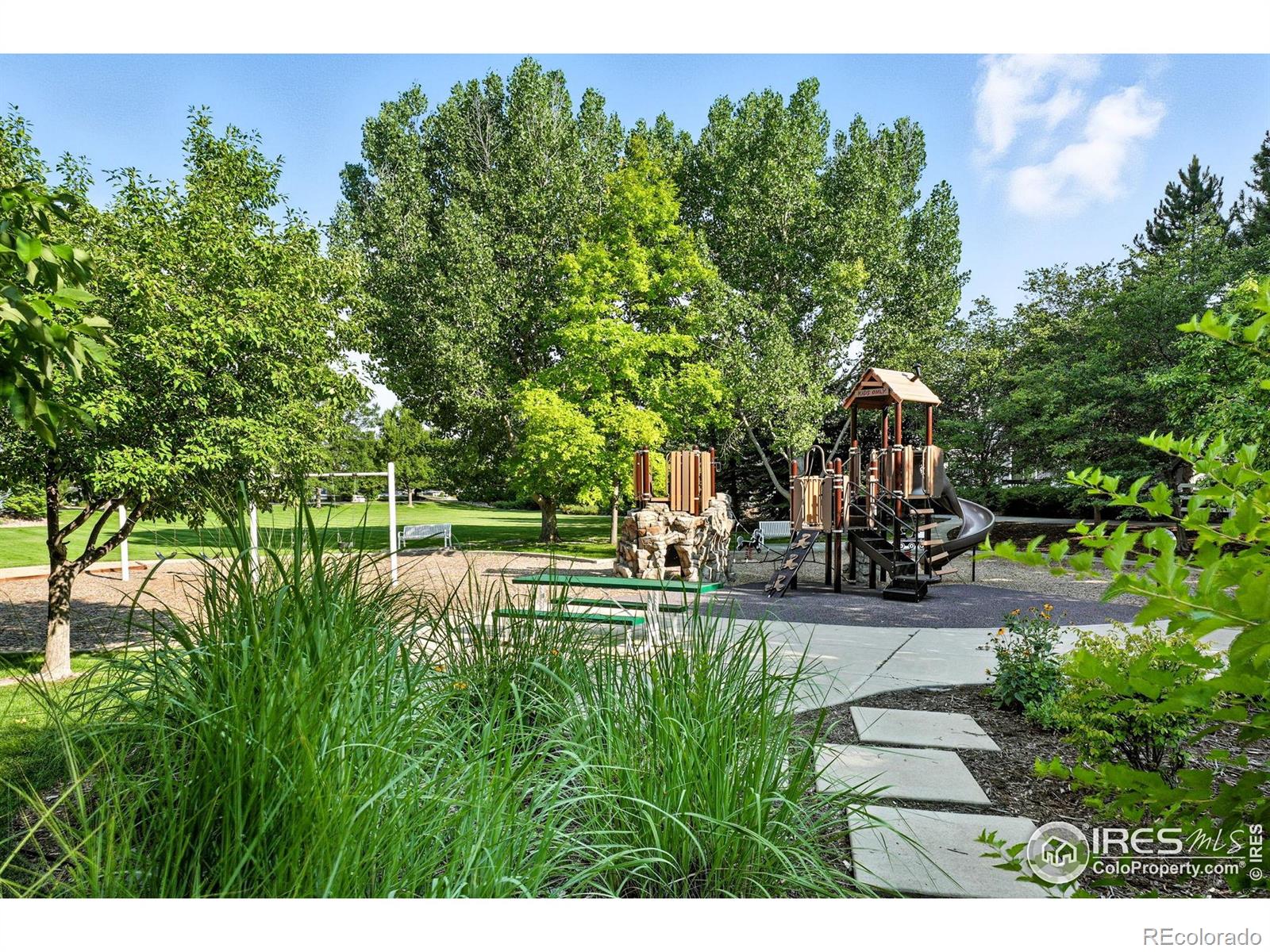 MLS Image #33 for 709  snowberry street,longmont, Colorado