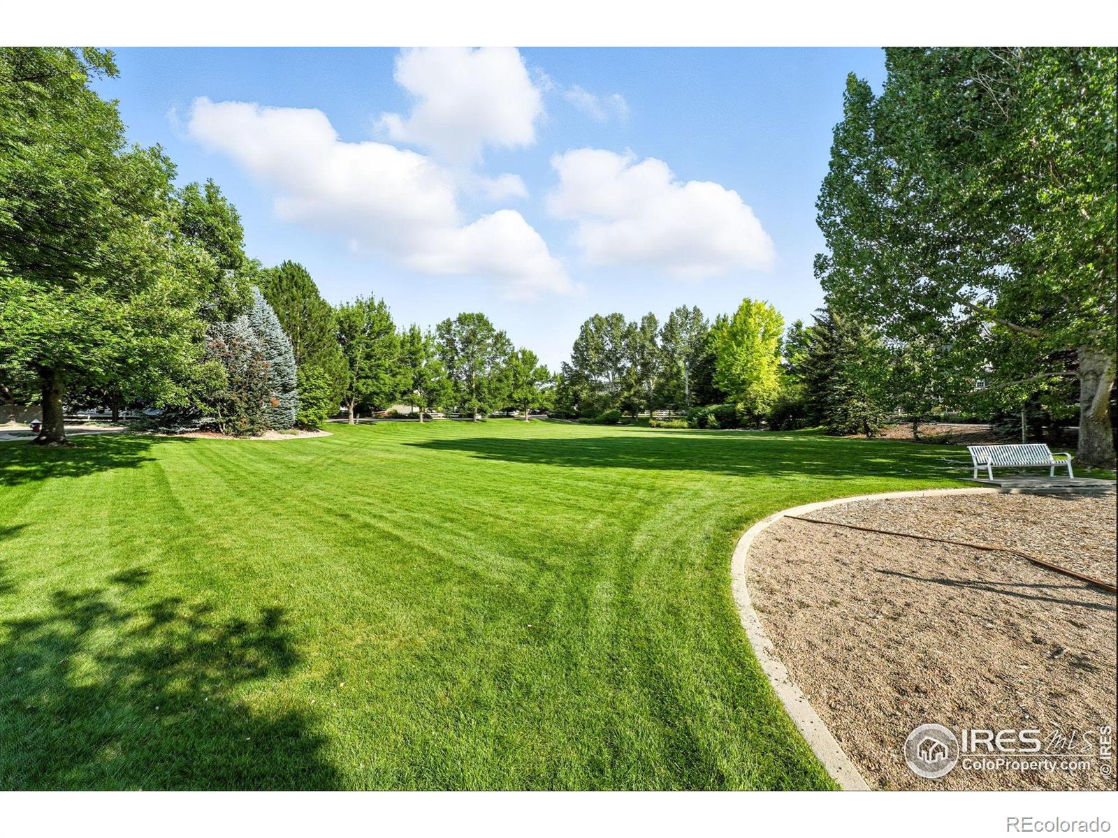 MLS Image #34 for 709  snowberry street,longmont, Colorado