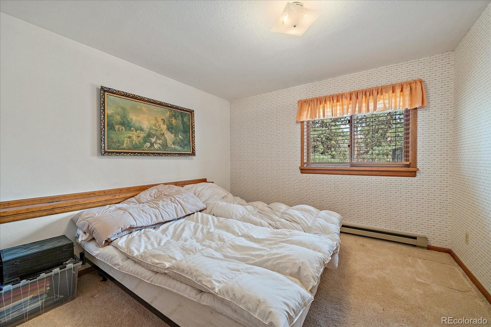 MLS Image #21 for 270  dawson road,pine, Colorado