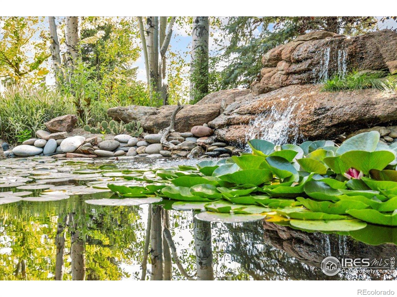 MLS Image #7 for 7507  blue water court,fort collins, Colorado