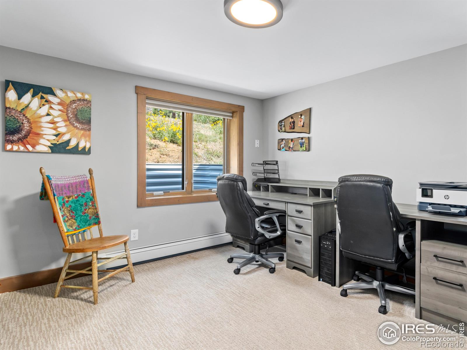 MLS Image #19 for 817  big horn drive,estes park, Colorado