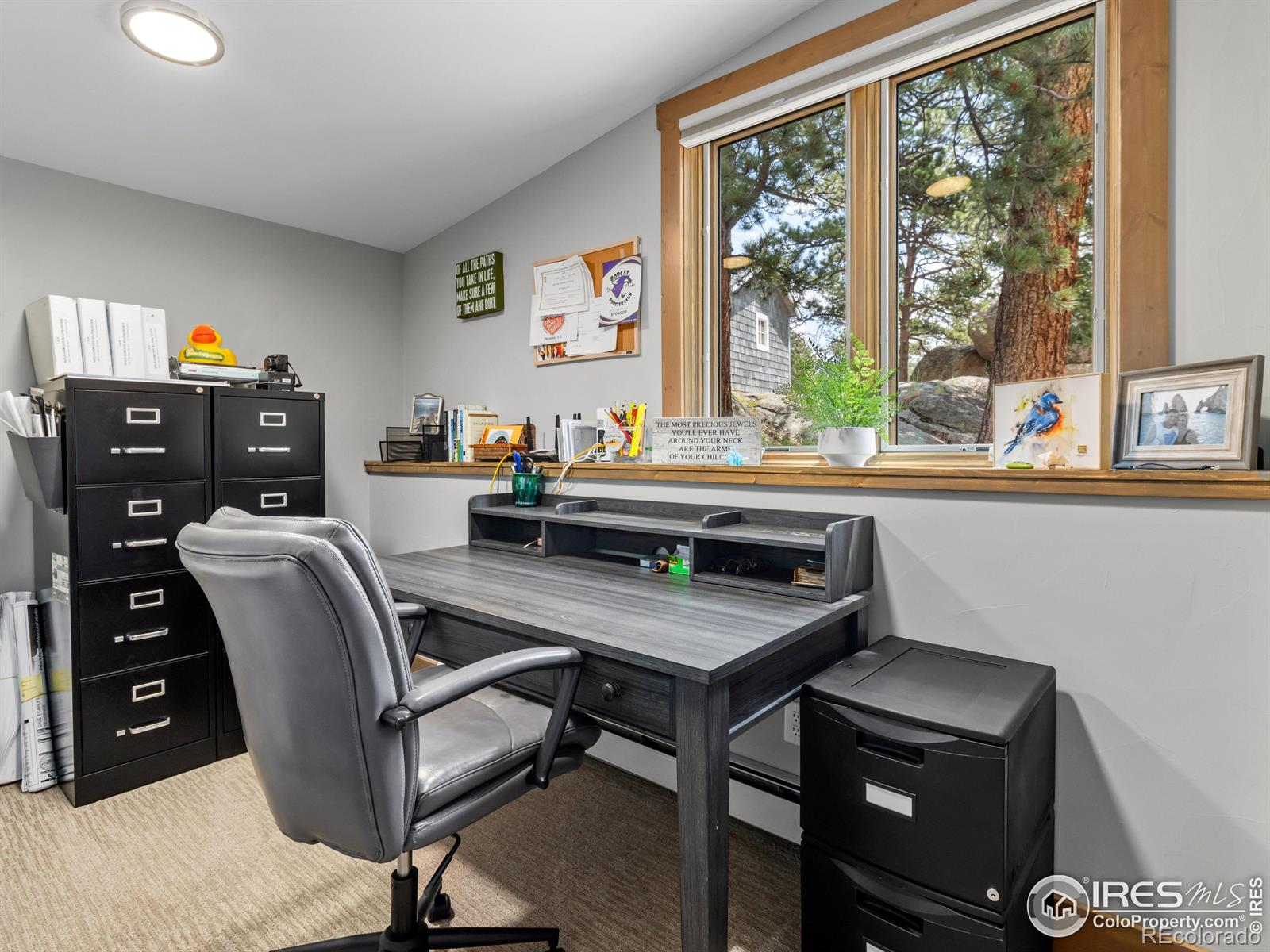 MLS Image #28 for 817  big horn drive,estes park, Colorado