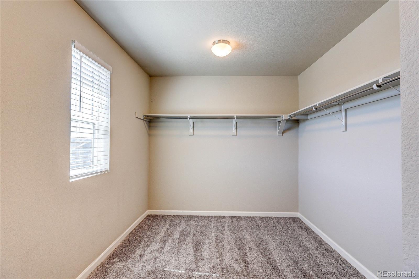 MLS Image #17 for 3426  swabuck place,castle rock, Colorado