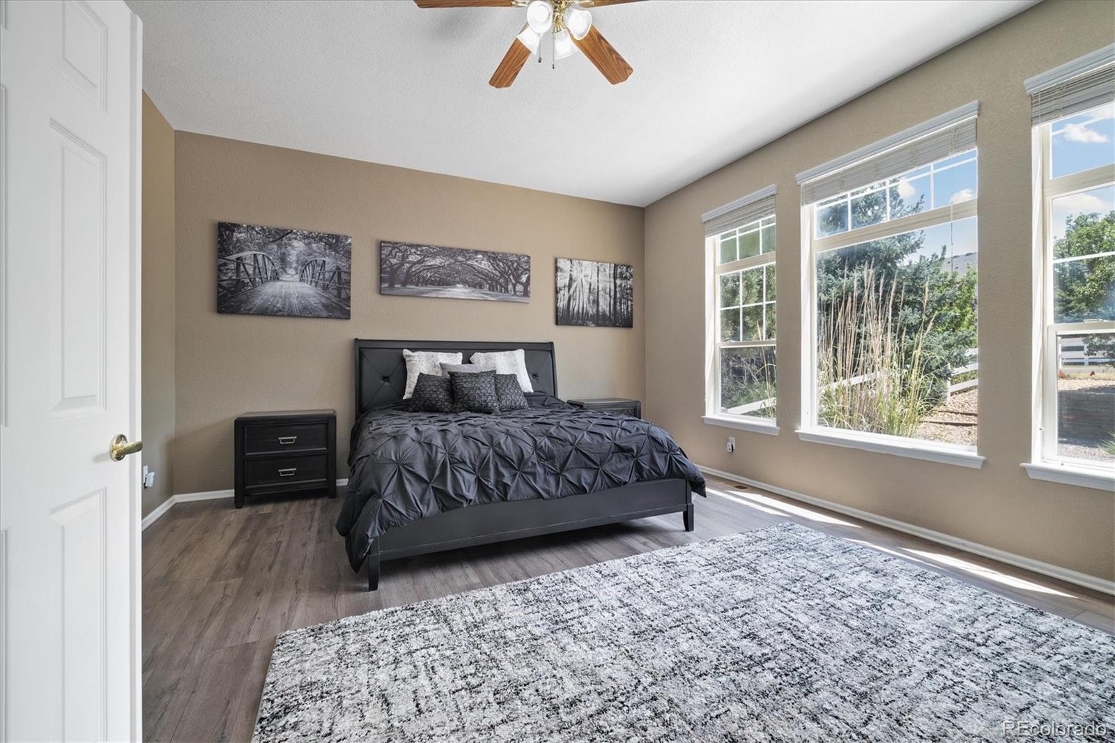 MLS Image #13 for 1560 s goldbug circle,aurora, Colorado