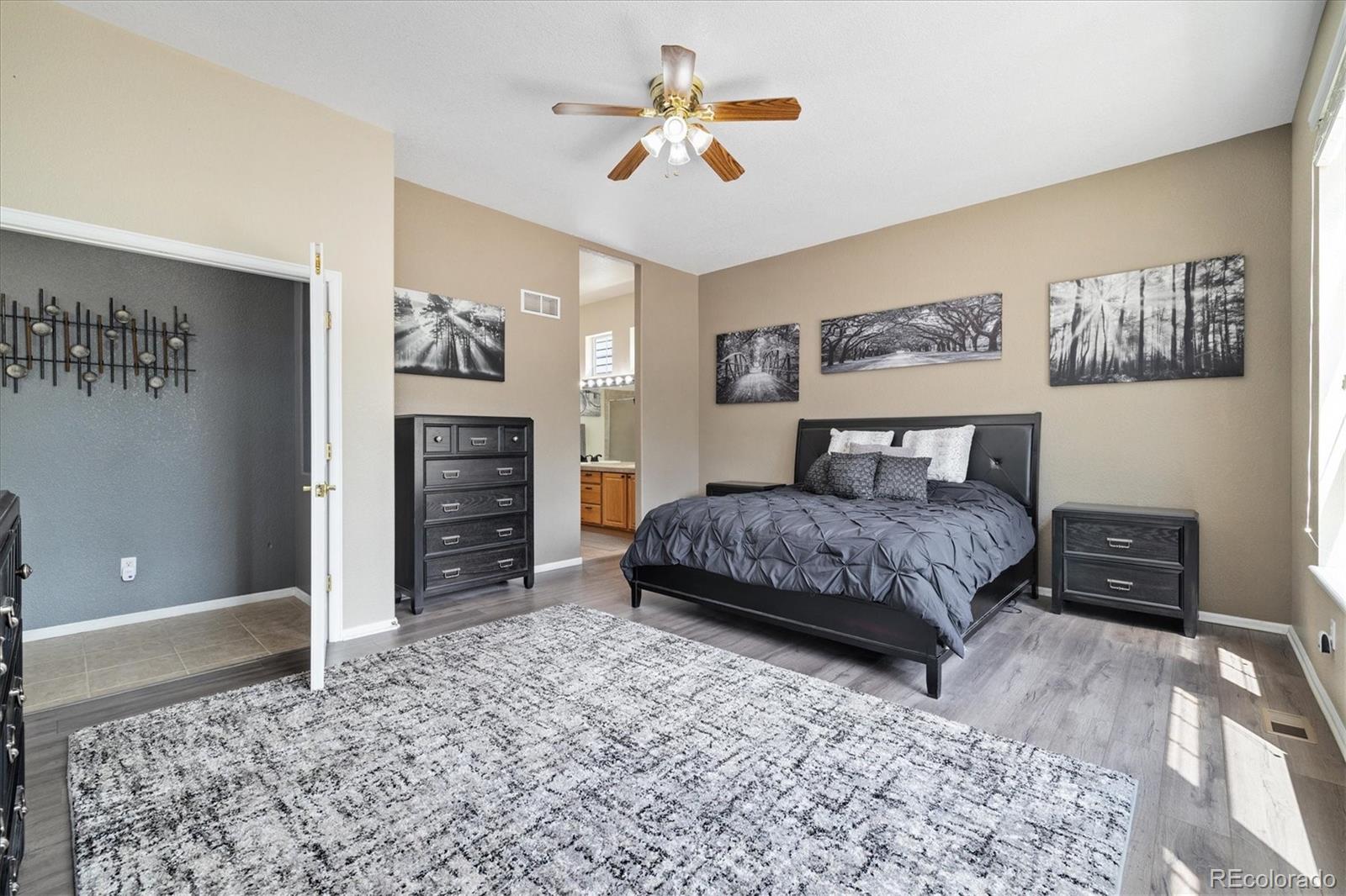 MLS Image #14 for 1560 s goldbug circle,aurora, Colorado