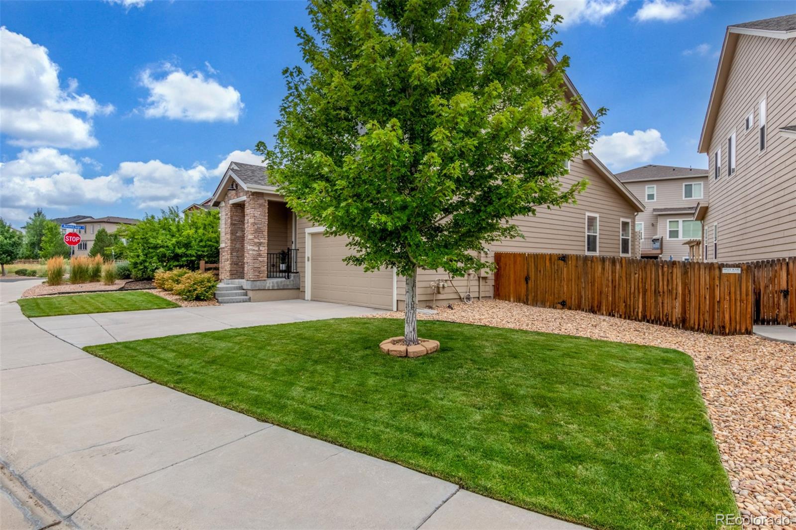 MLS Image #2 for 4092  trail stone circle,castle rock, Colorado