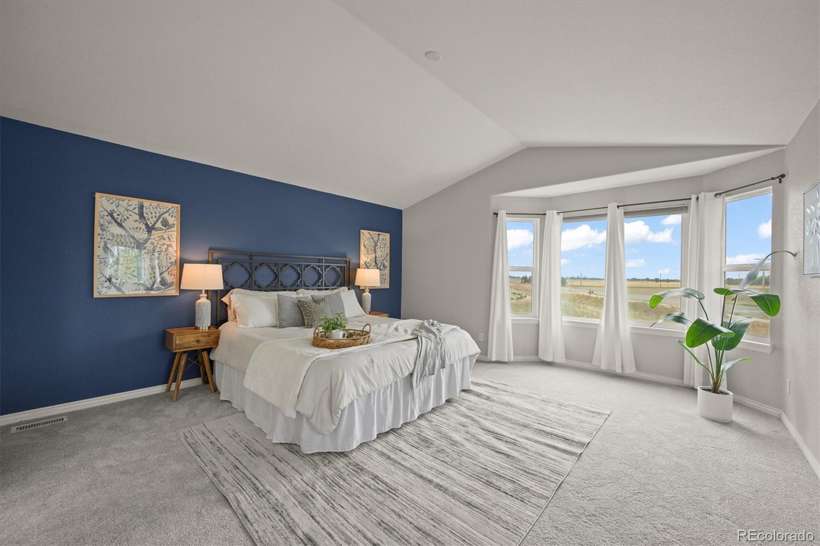 MLS Image #20 for 1138  coneflower way,brighton, Colorado