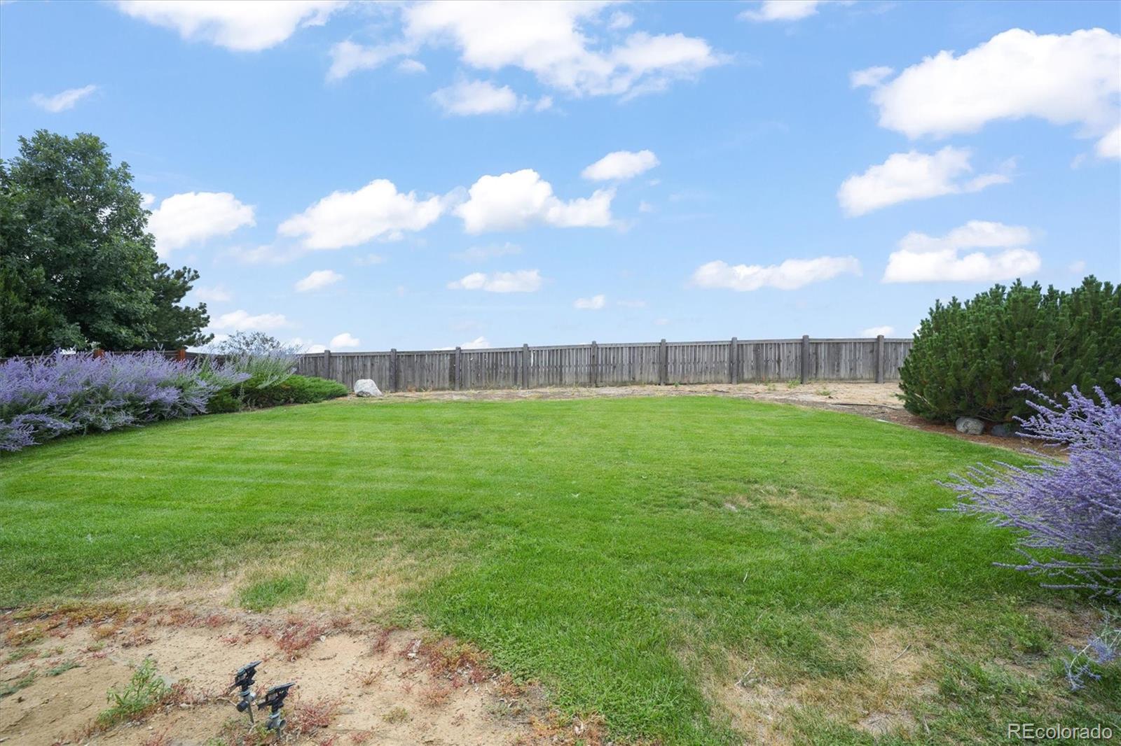 MLS Image #31 for 1138  coneflower way,brighton, Colorado