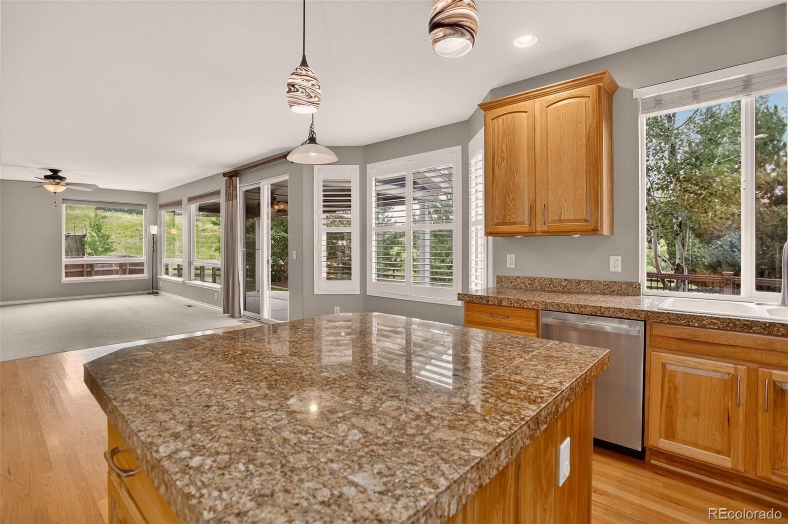 MLS Image #17 for 1642  aquamarine way,castle rock, Colorado