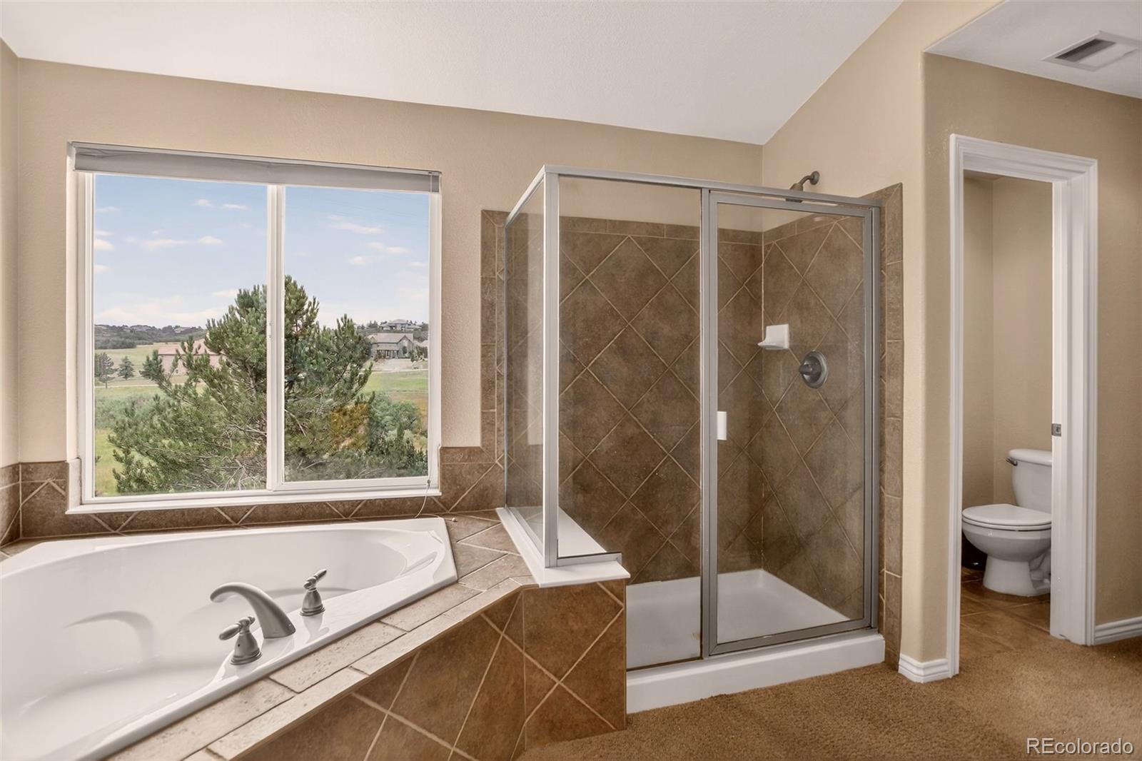 MLS Image #34 for 1642  aquamarine way,castle rock, Colorado