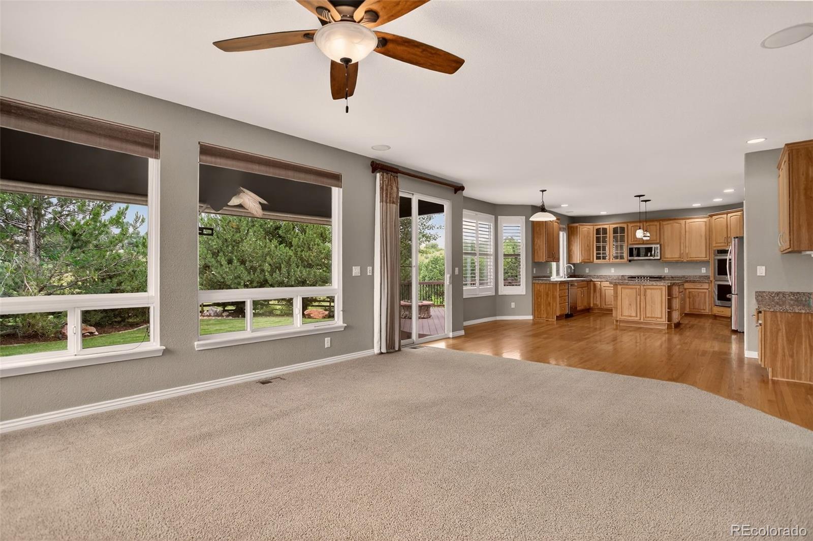 MLS Image #7 for 1642  aquamarine way,castle rock, Colorado