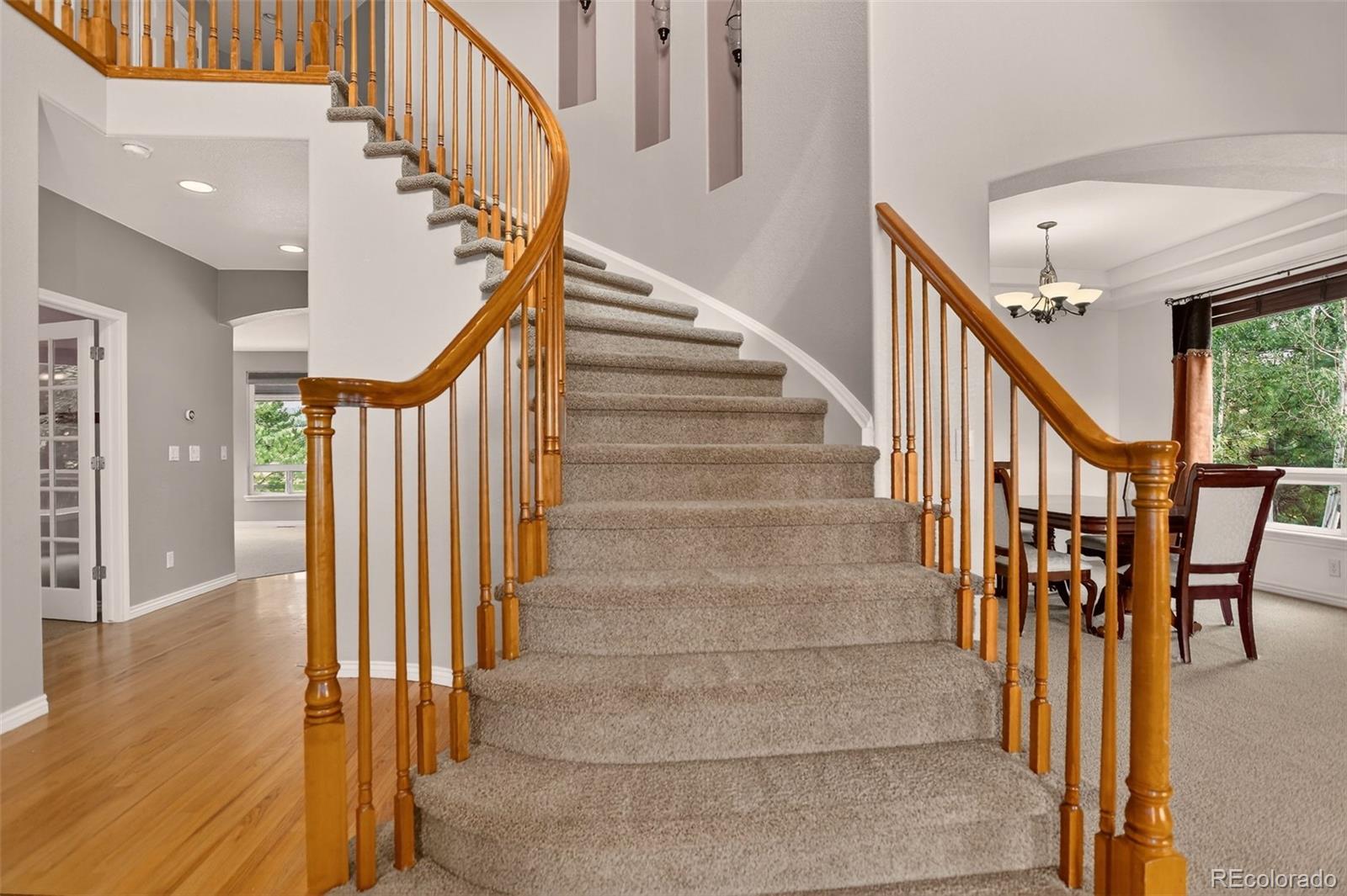 MLS Image #9 for 1642  aquamarine way,castle rock, Colorado