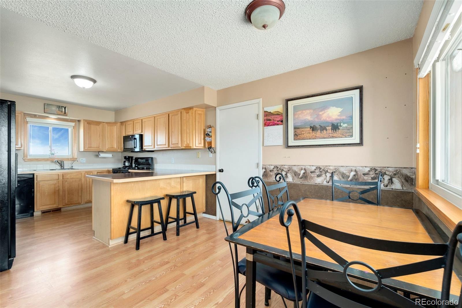 MLS Image #5 for 54685 e bobcat lane,strasburg, Colorado