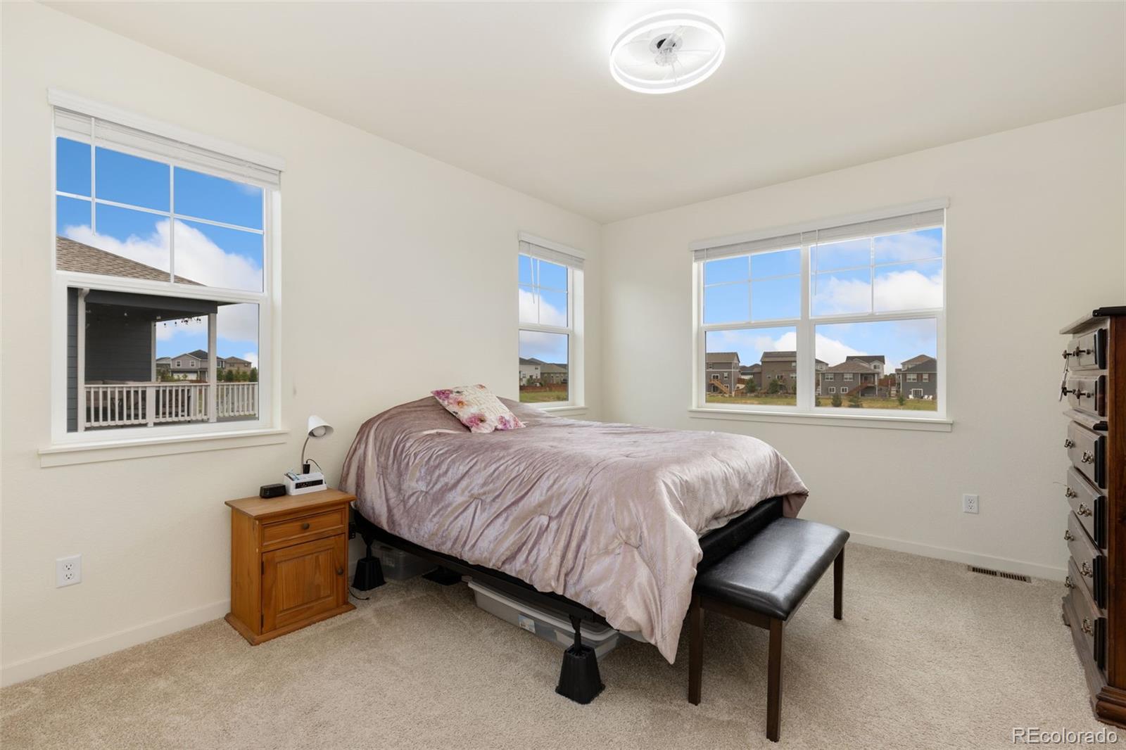 MLS Image #12 for 13628  topaz street,longmont, Colorado