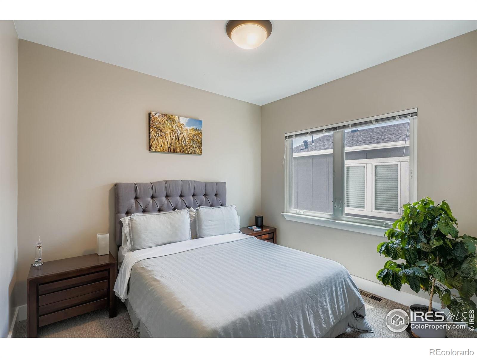 MLS Image #15 for 2718  hooker street,denver, Colorado