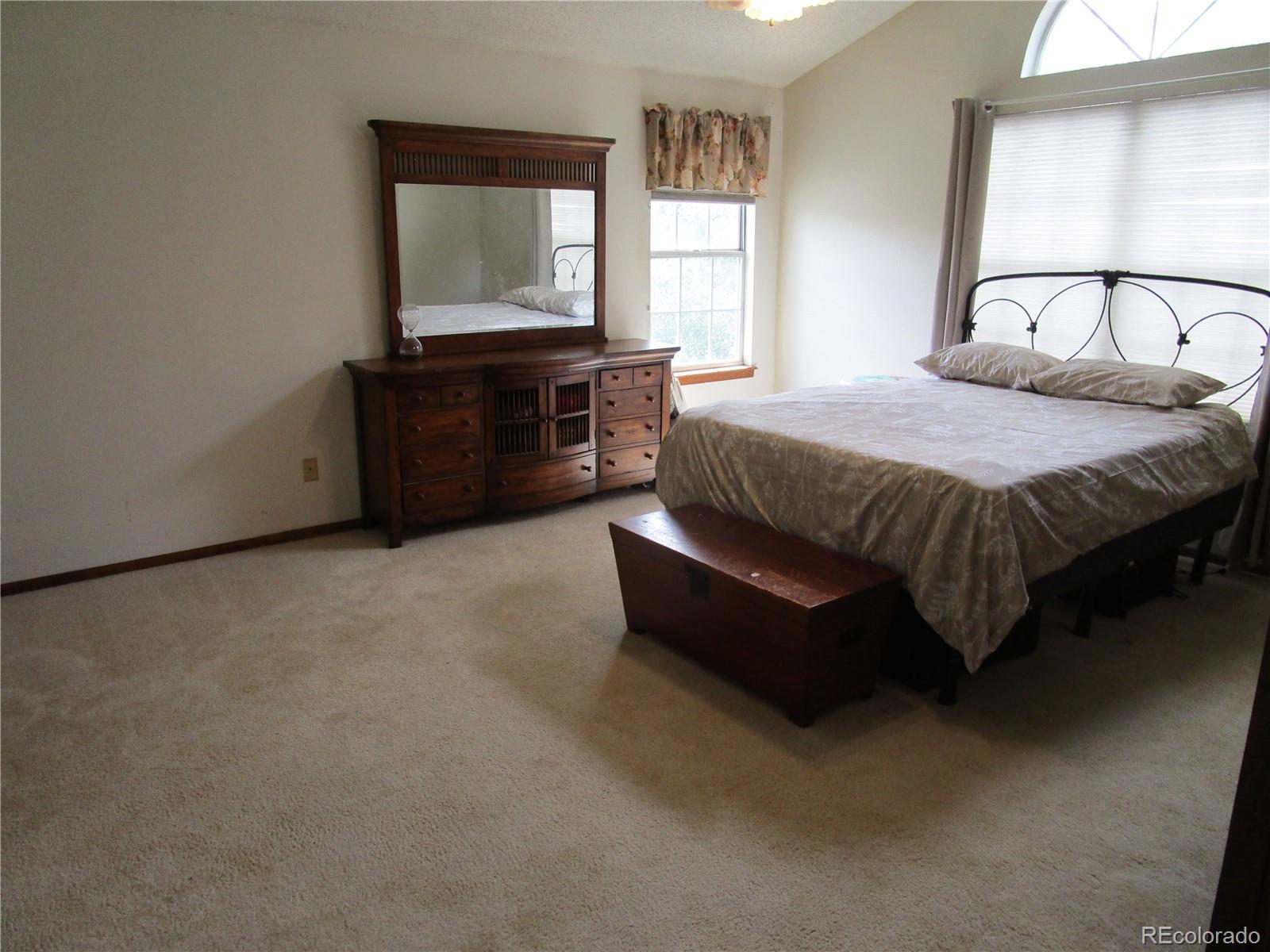 MLS Image #13 for 17502  lamar court,parker, Colorado