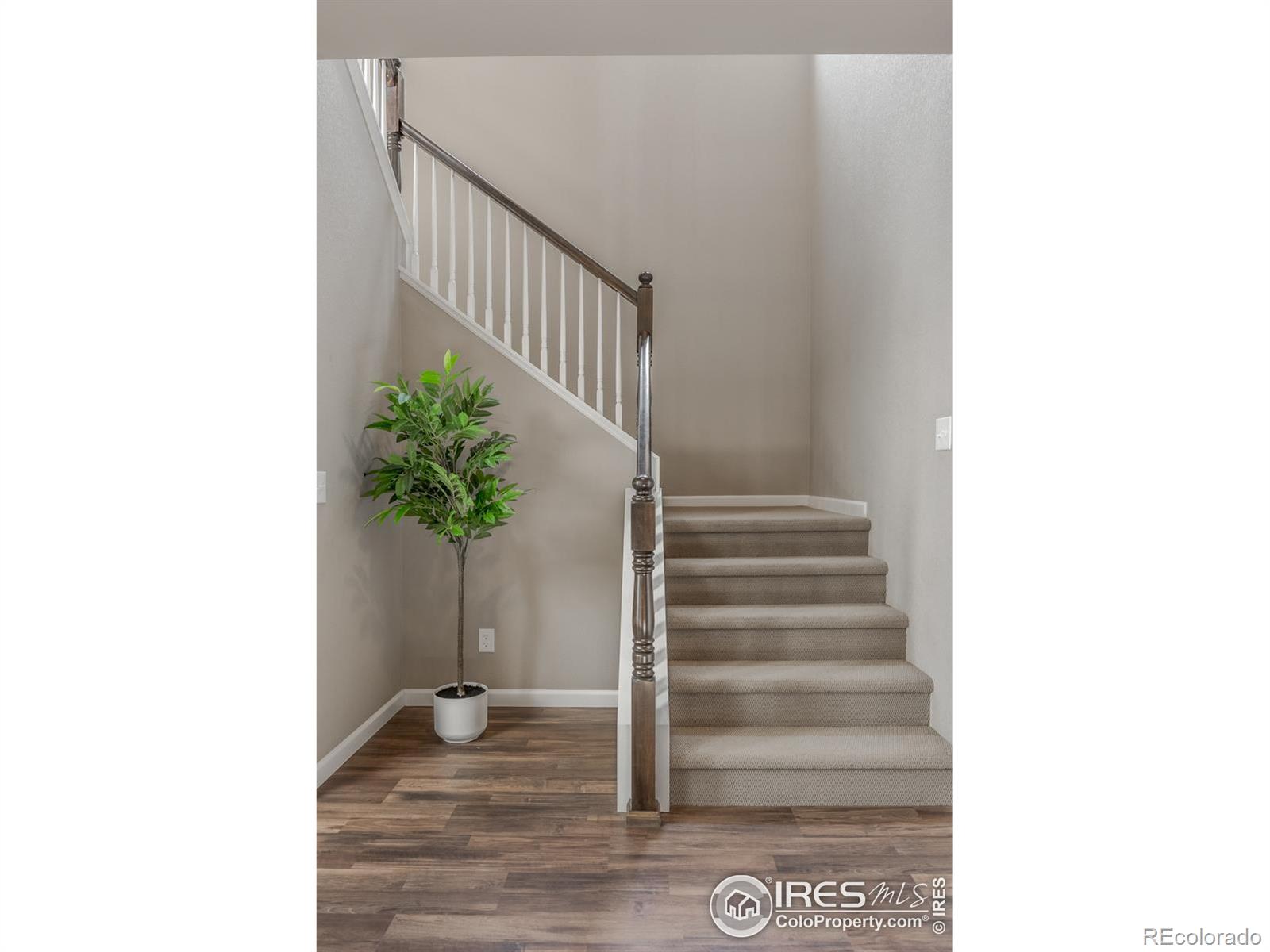 MLS Image #20 for 18875 w 93rd avenue,arvada, Colorado