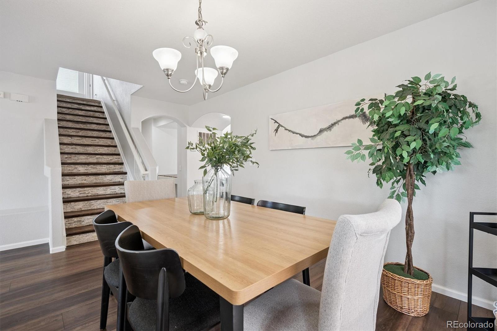 MLS Image #5 for 5072  cathay street,denver, Colorado