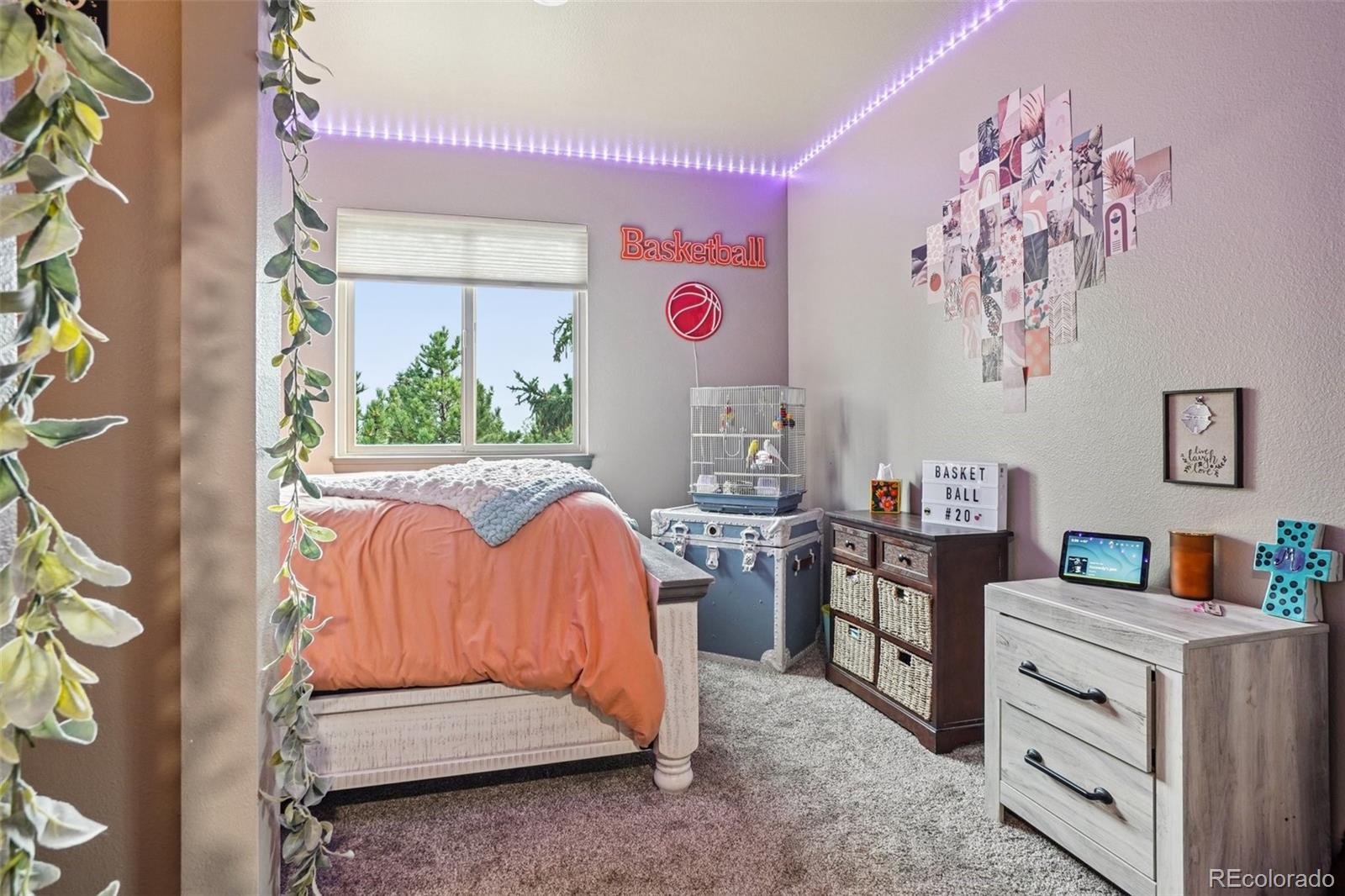 MLS Image #29 for 18555  knollwood boulevard,monument, Colorado