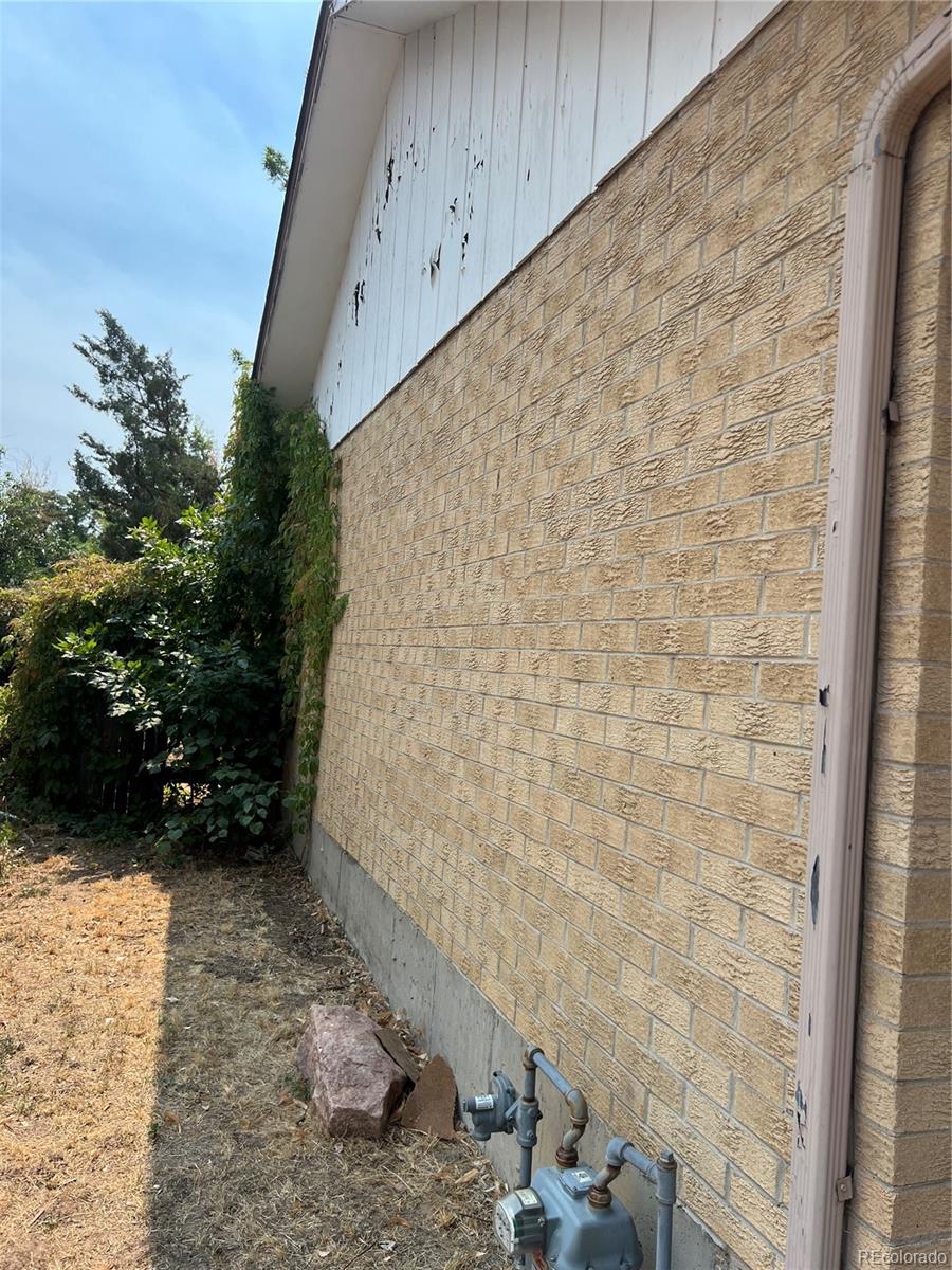 MLS Image #18 for 5526  carson street,denver, Colorado
