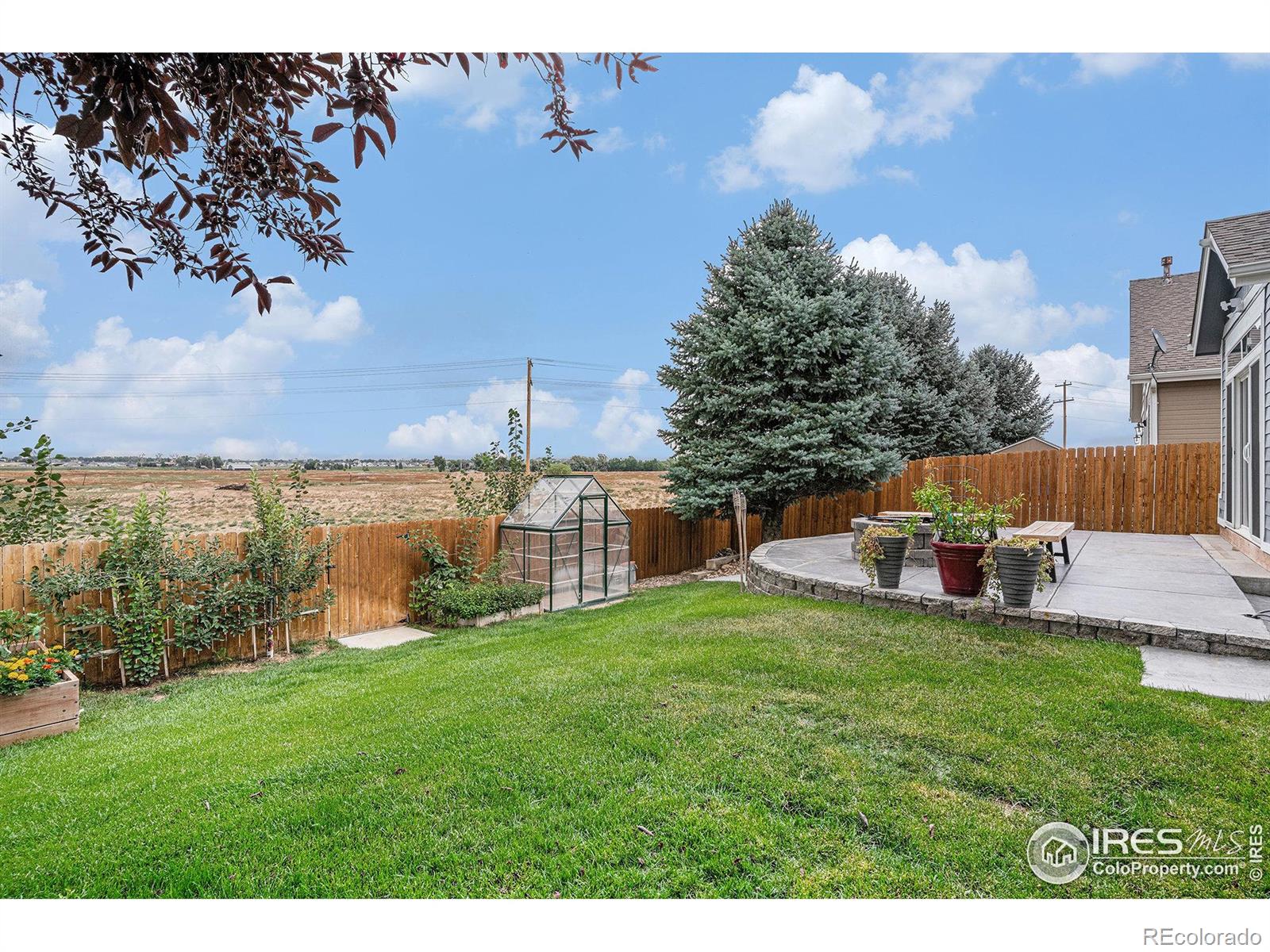 MLS Image #30 for 1050  fairfield avenue,windsor, Colorado