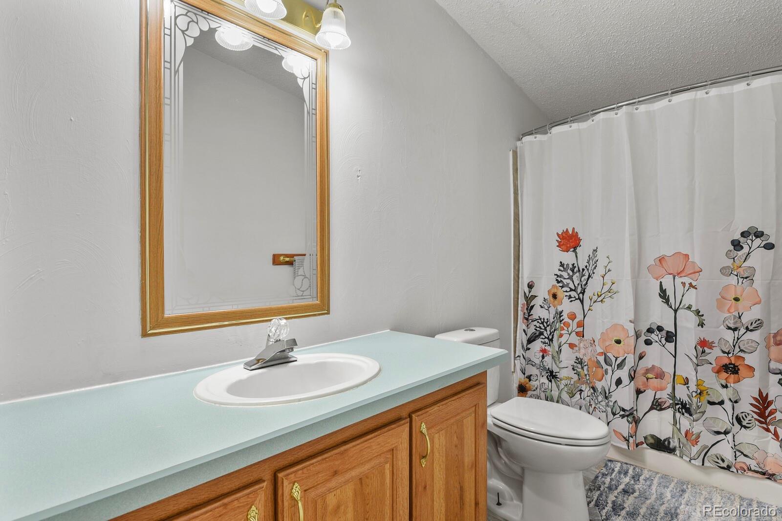 MLS Image #23 for 15644  good avenue,fort lupton, Colorado