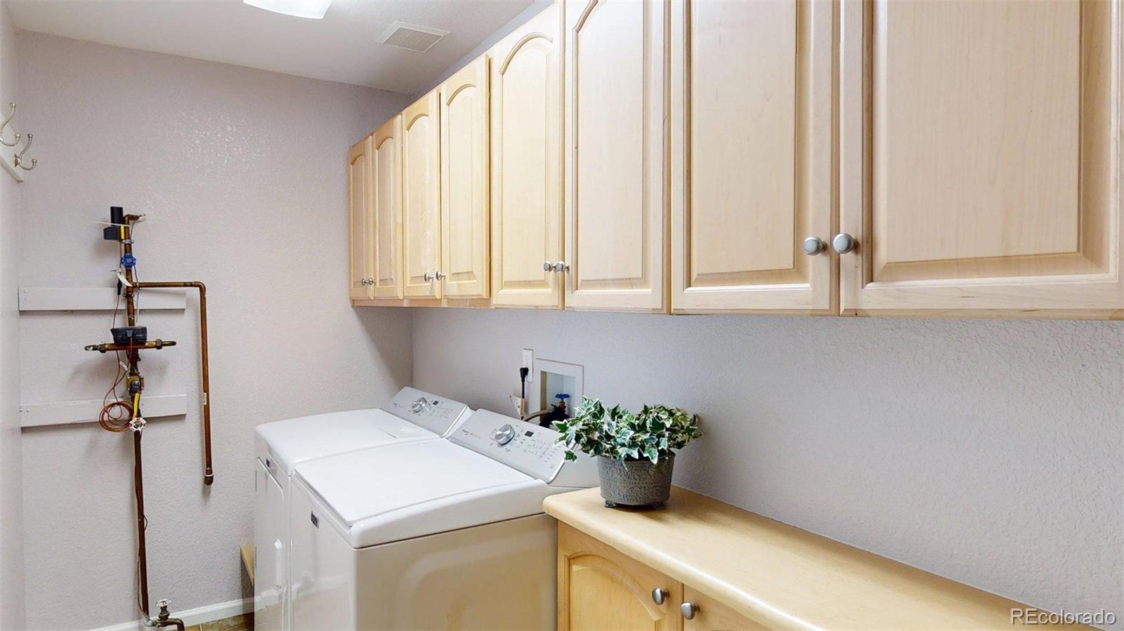 MLS Image #27 for 10164  autumn blaze trail,highlands ranch, Colorado