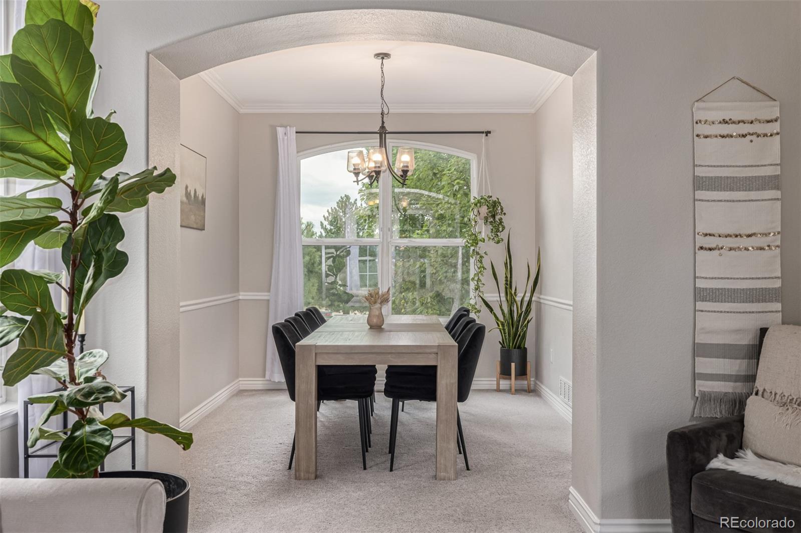 MLS Image #10 for 20740  parker vista road,parker, Colorado