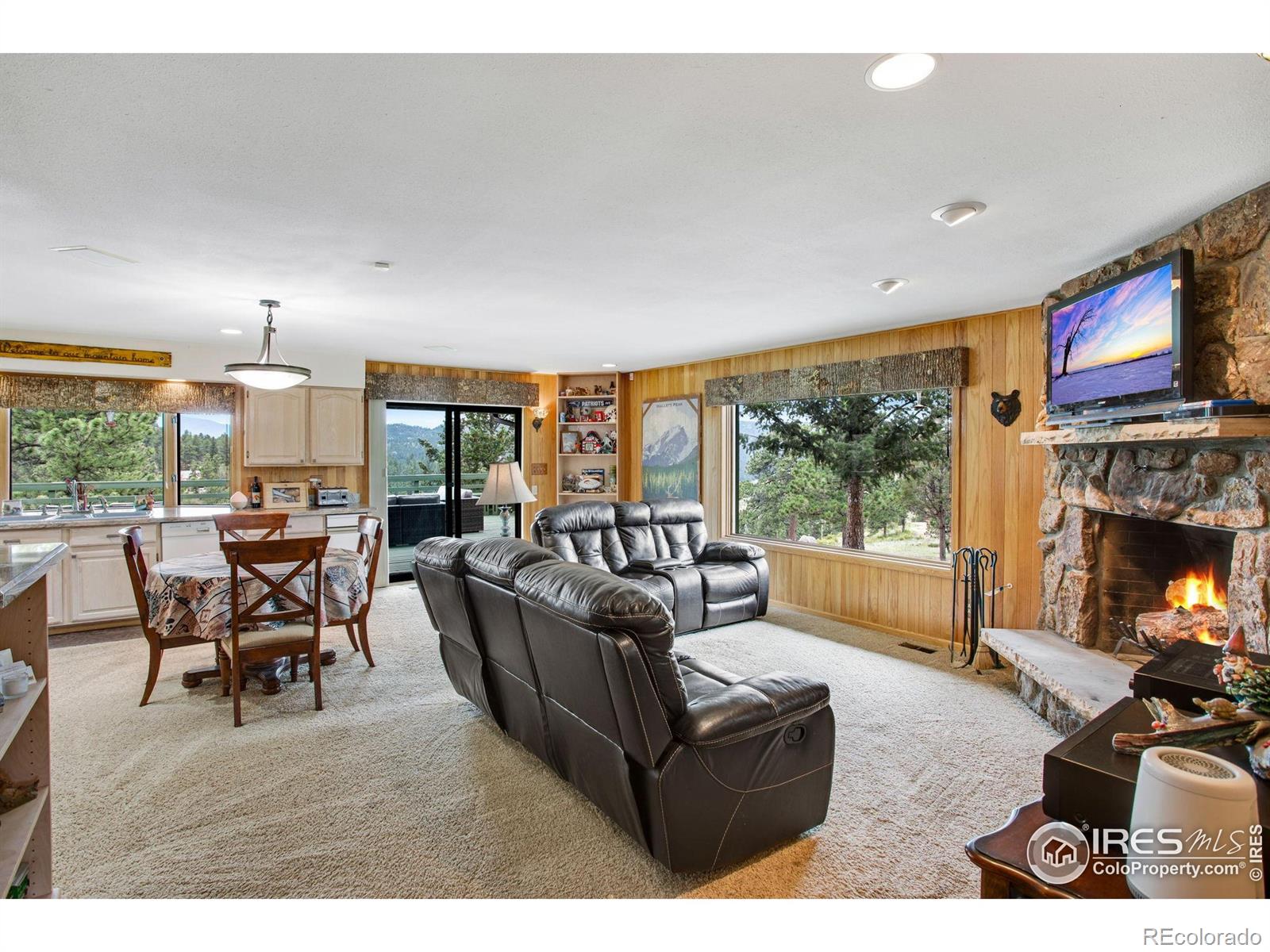 MLS Image #15 for 855  mount champion drive,livermore, Colorado