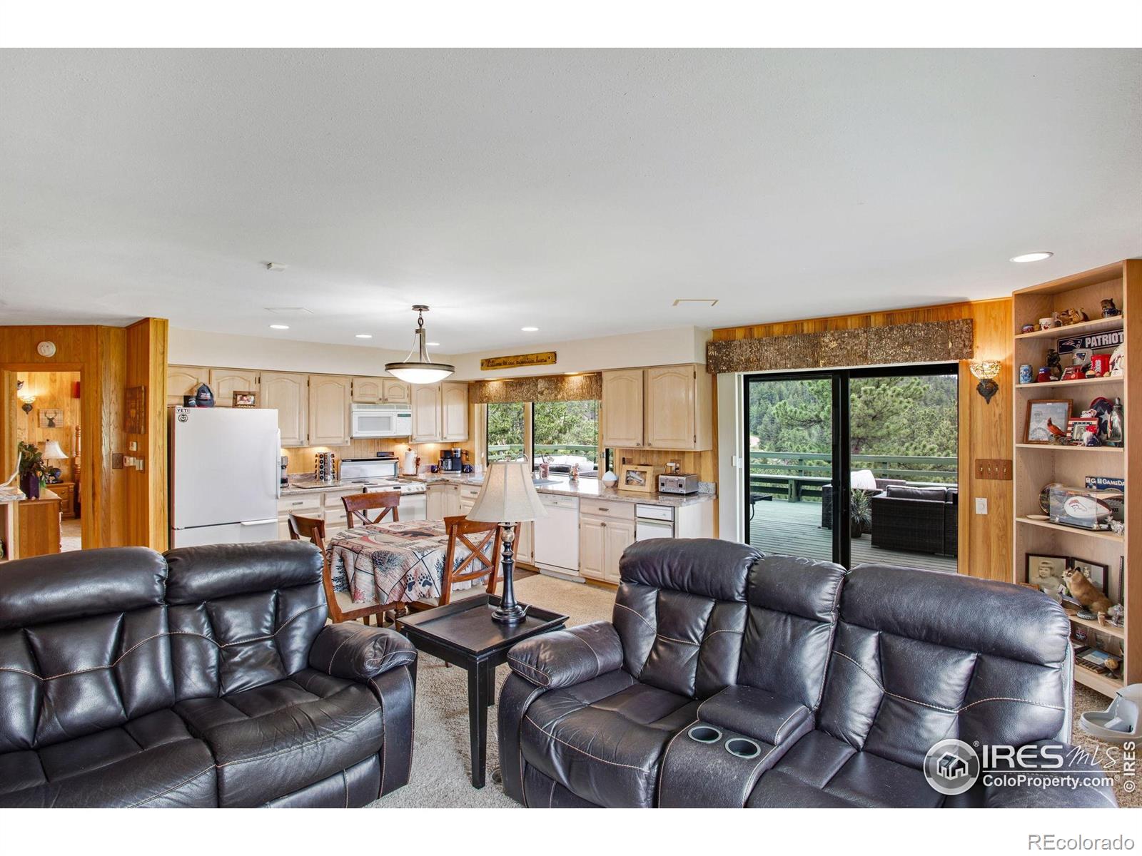 MLS Image #16 for 855  mount champion drive,livermore, Colorado