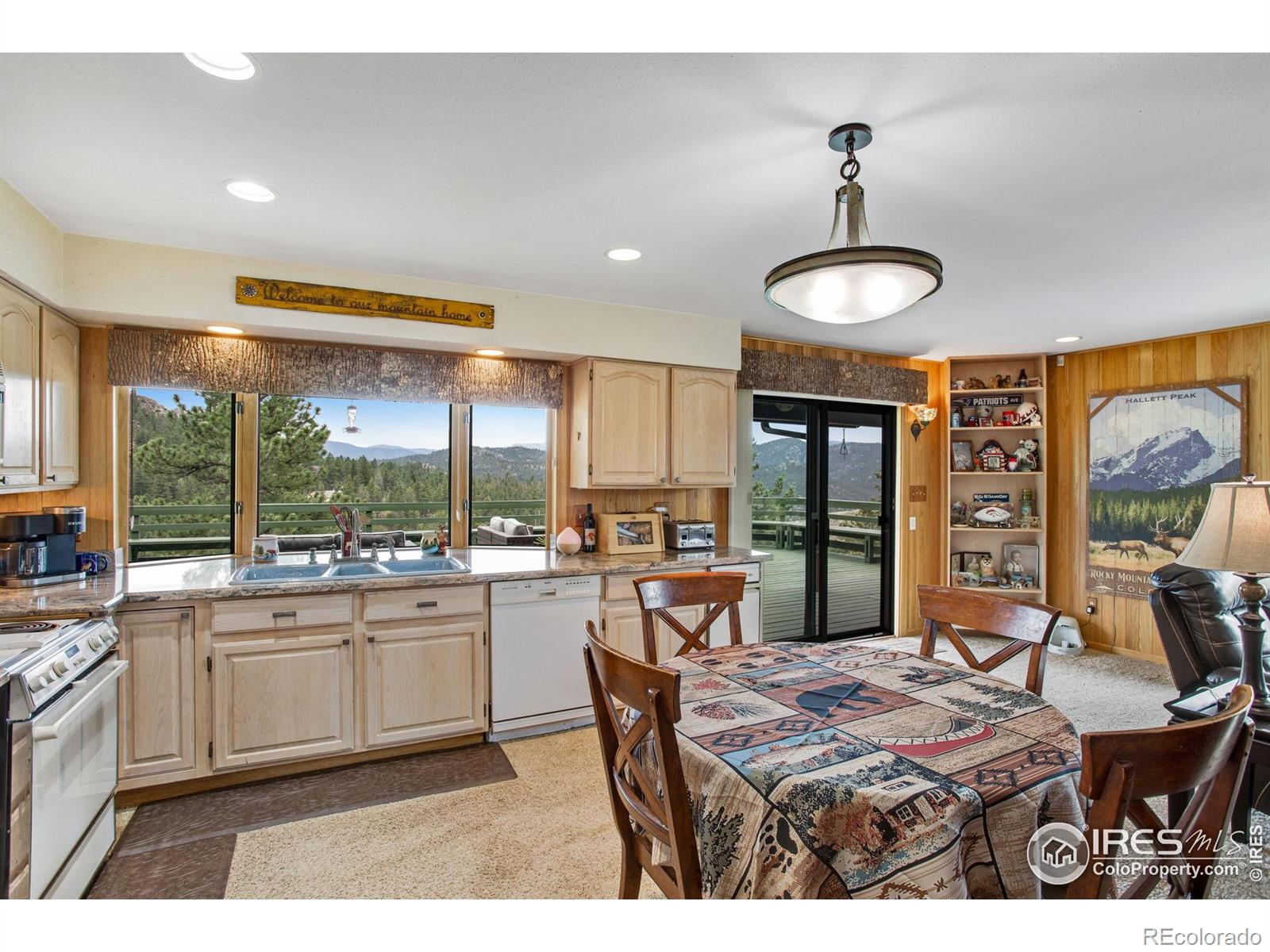 MLS Image #22 for 855  mount champion drive,livermore, Colorado