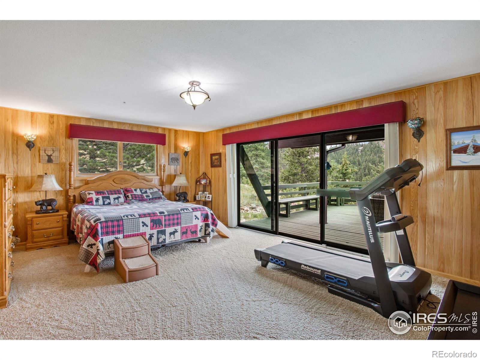 MLS Image #23 for 855  mount champion drive,livermore, Colorado