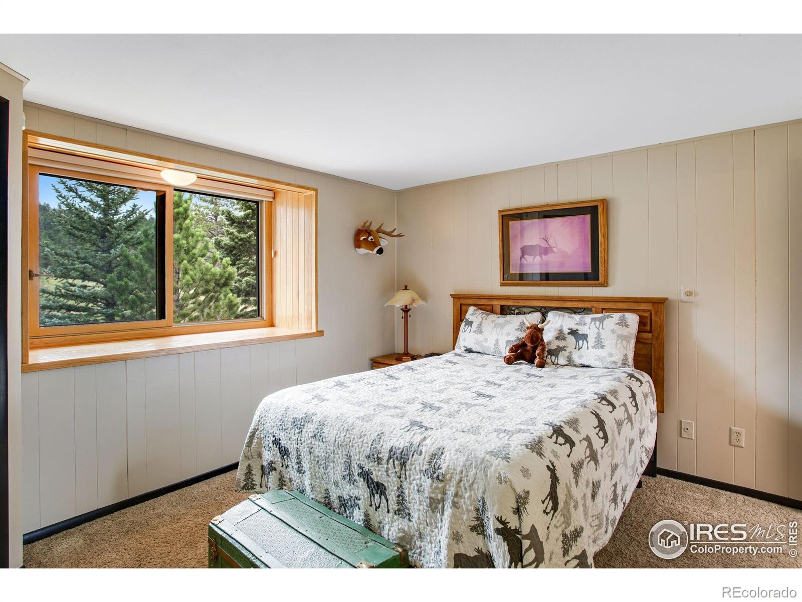MLS Image #26 for 855  mount champion drive,livermore, Colorado