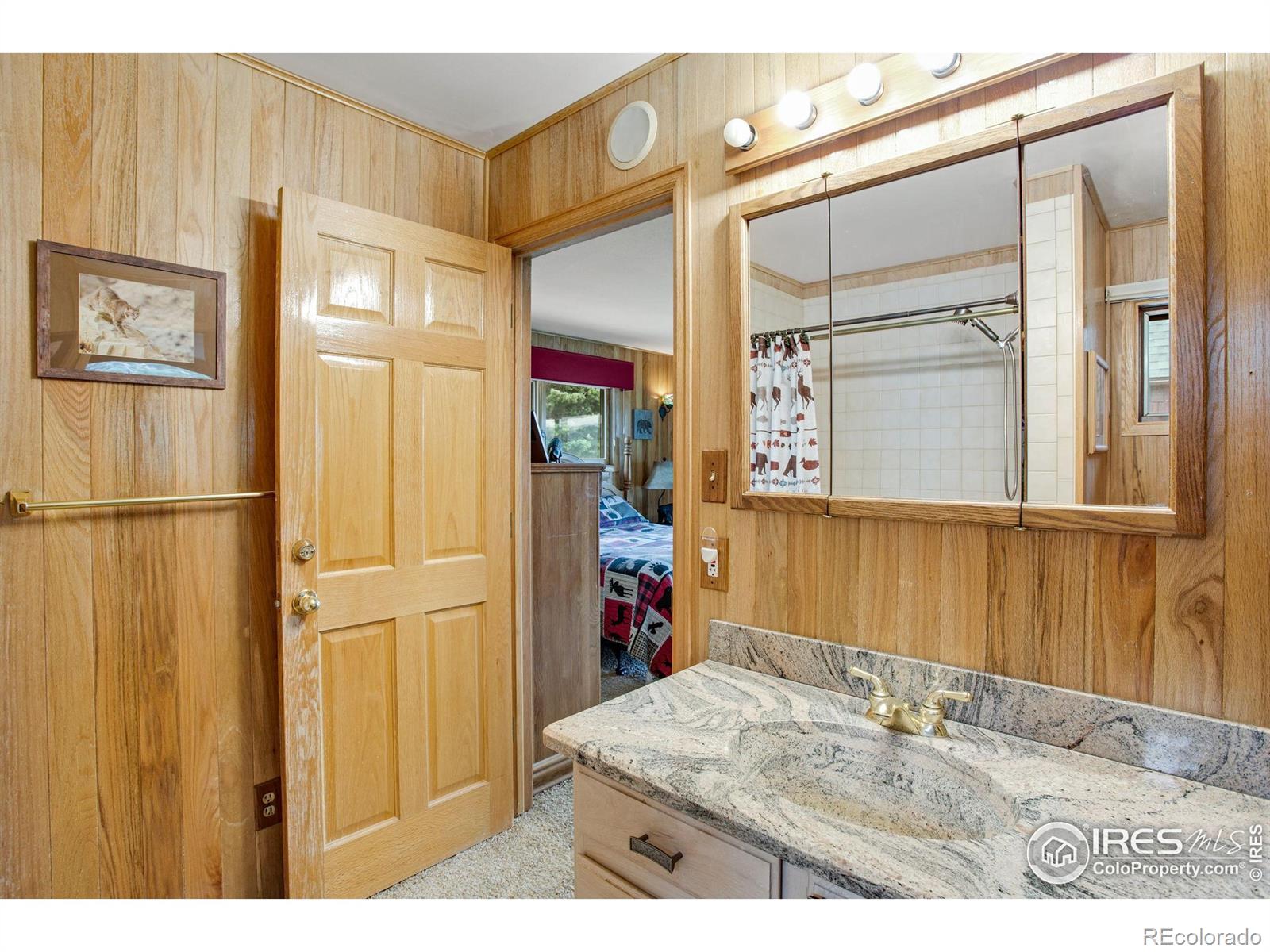MLS Image #28 for 855  mount champion drive,livermore, Colorado