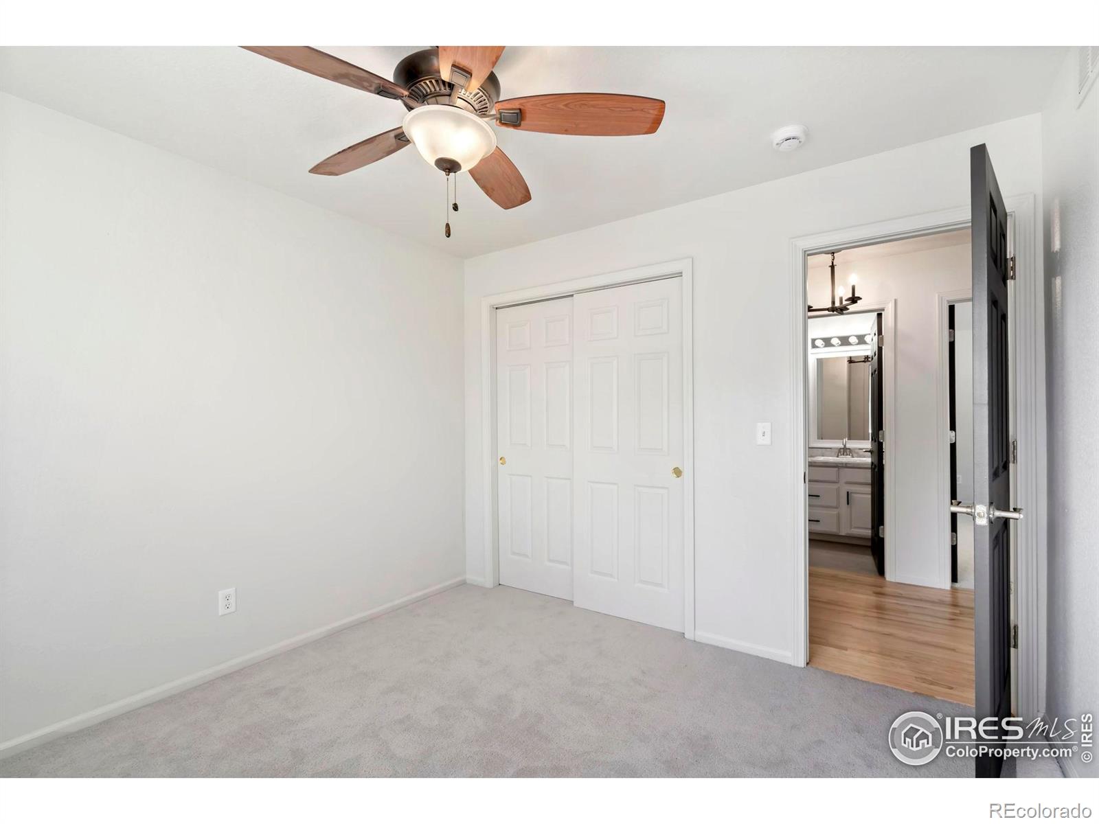 MLS Image #20 for 312  whitney bay ,windsor, Colorado