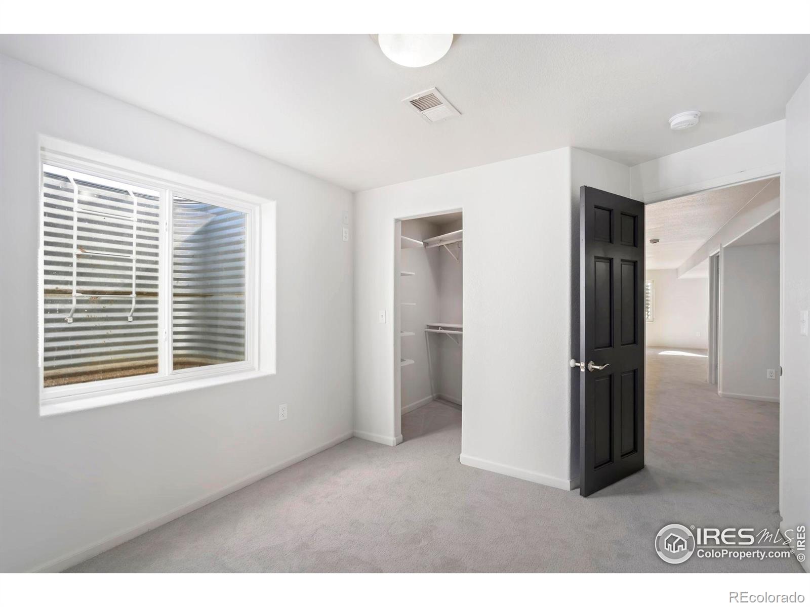 MLS Image #25 for 312  whitney bay ,windsor, Colorado