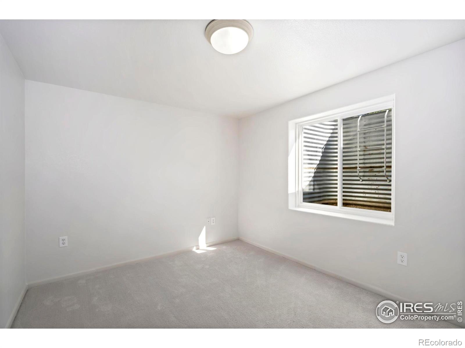 MLS Image #26 for 312  whitney bay ,windsor, Colorado