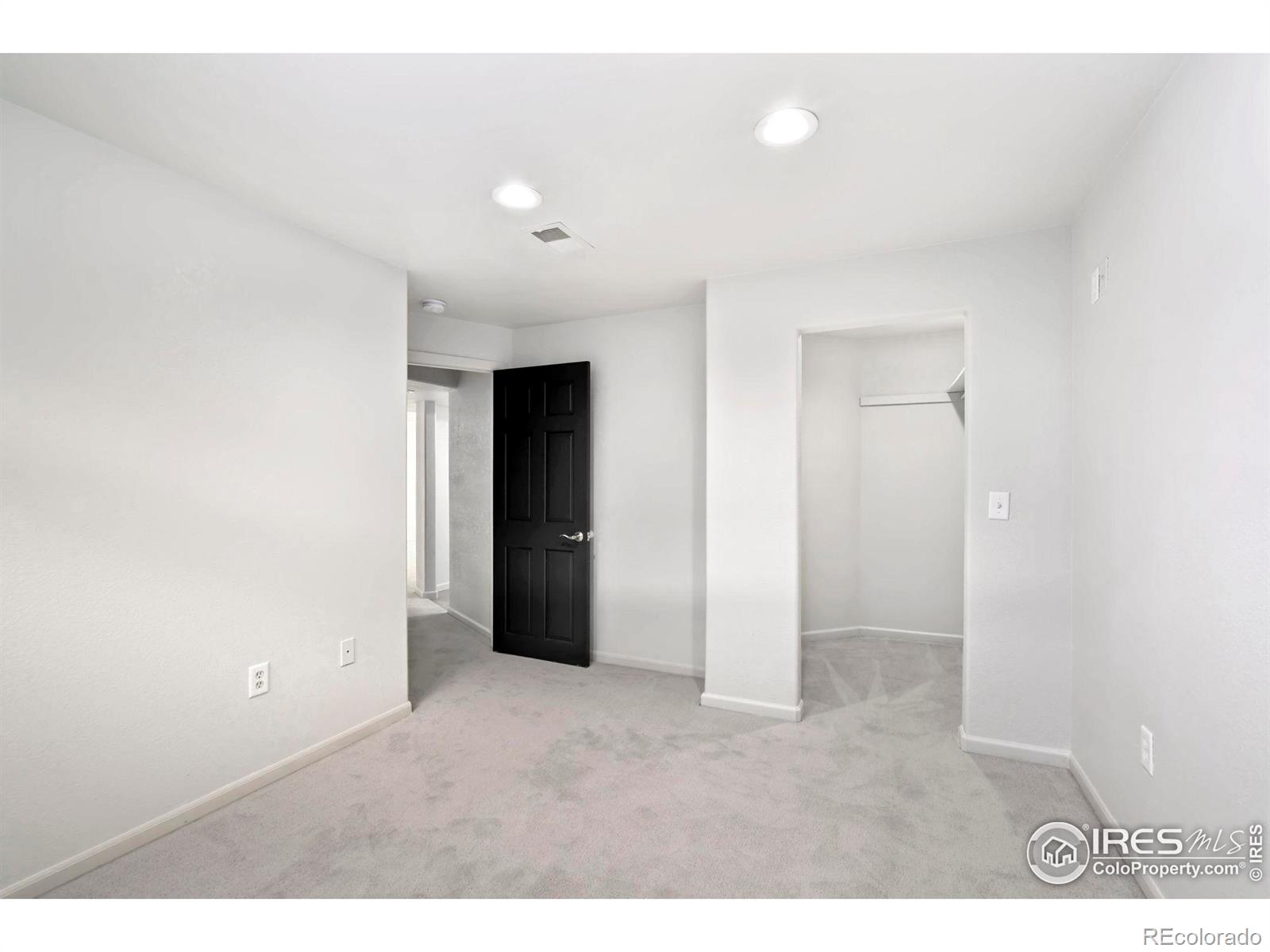 MLS Image #29 for 312  whitney bay ,windsor, Colorado