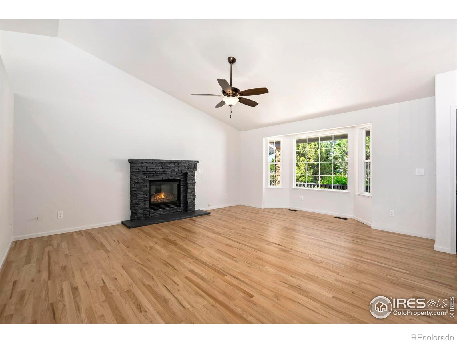 MLS Image #5 for 312  whitney bay ,windsor, Colorado