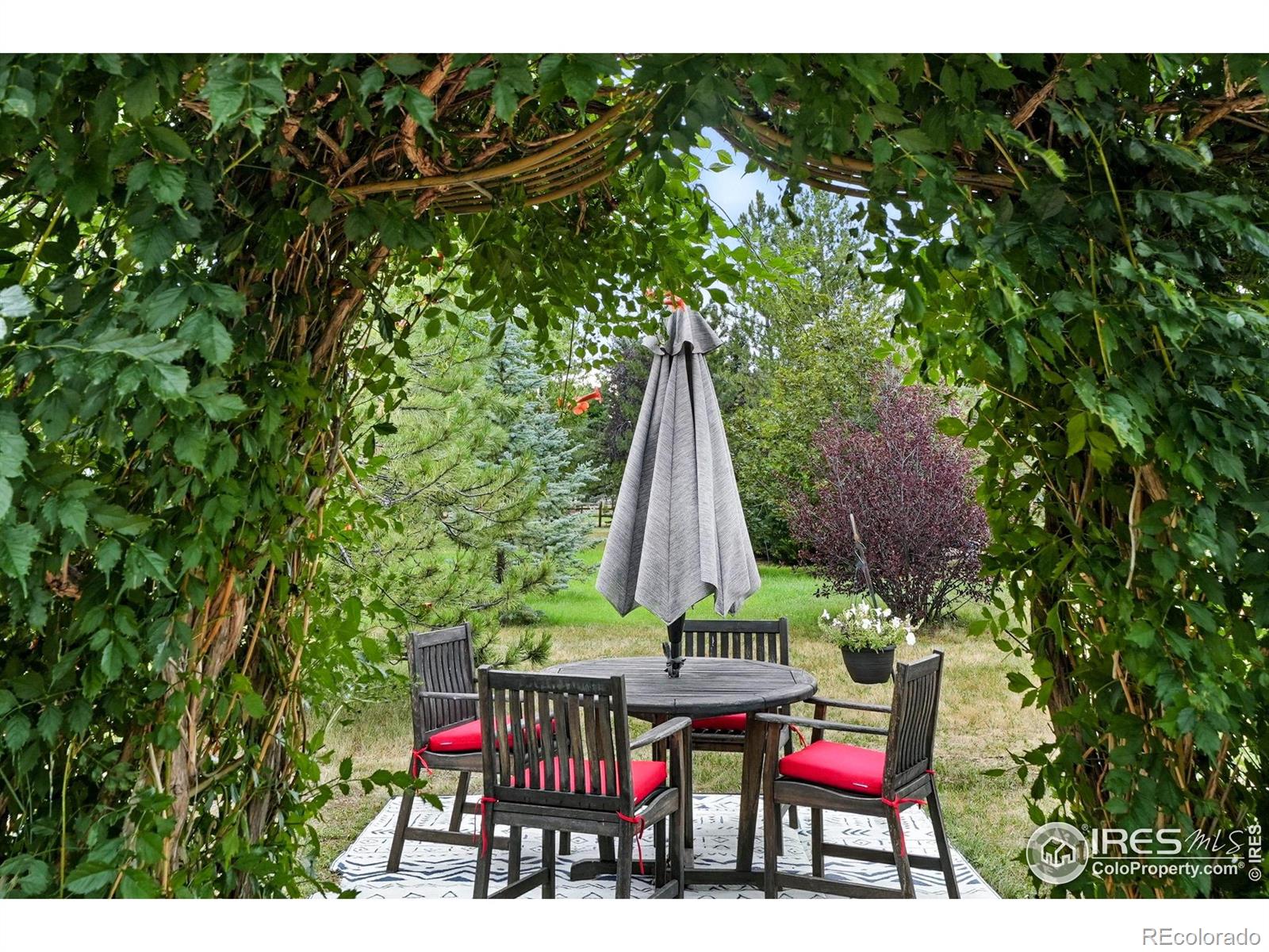 MLS Image #33 for 8726  crimson clover lane,longmont, Colorado