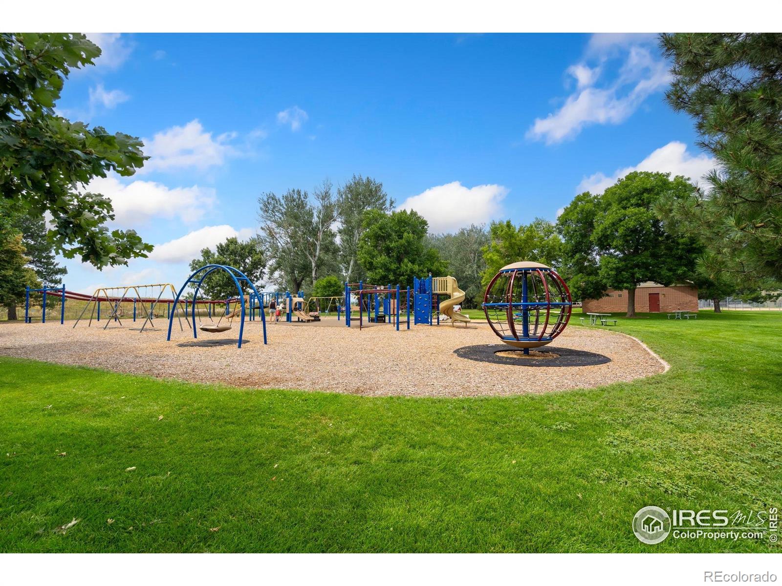 MLS Image #22 for 1213  silk oak court,fort collins, Colorado