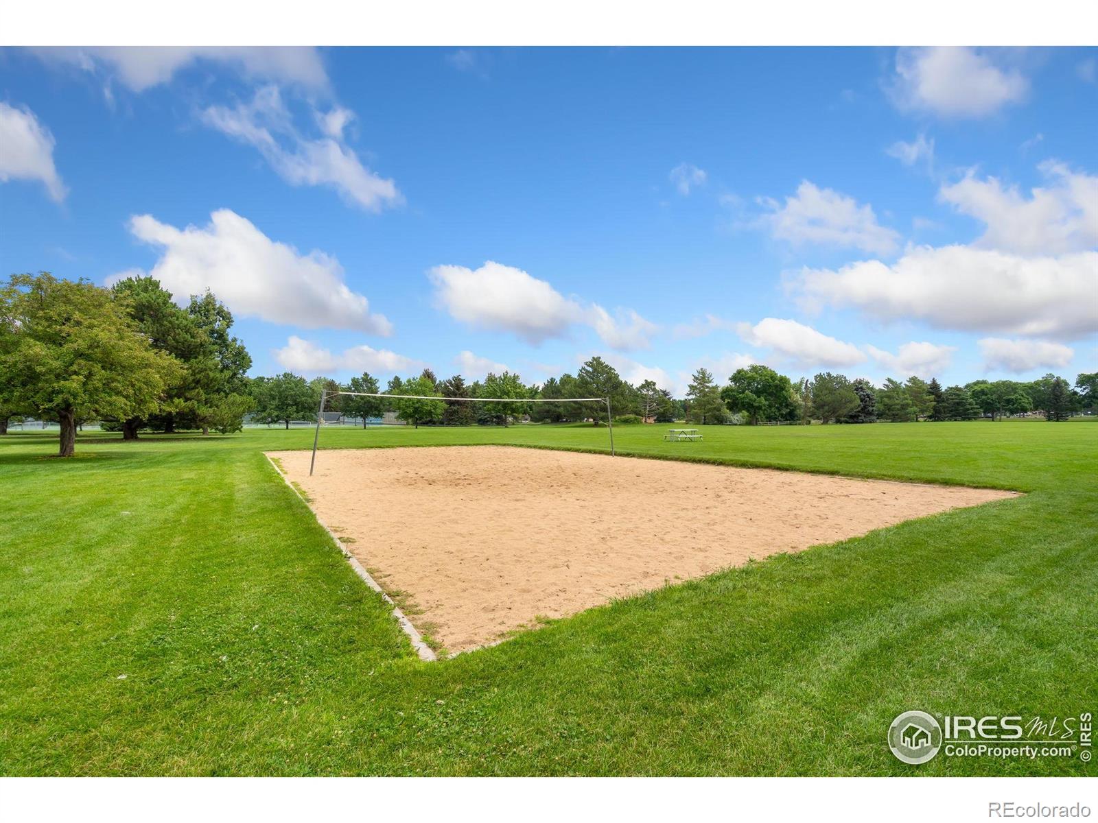 MLS Image #23 for 1213  silk oak court,fort collins, Colorado