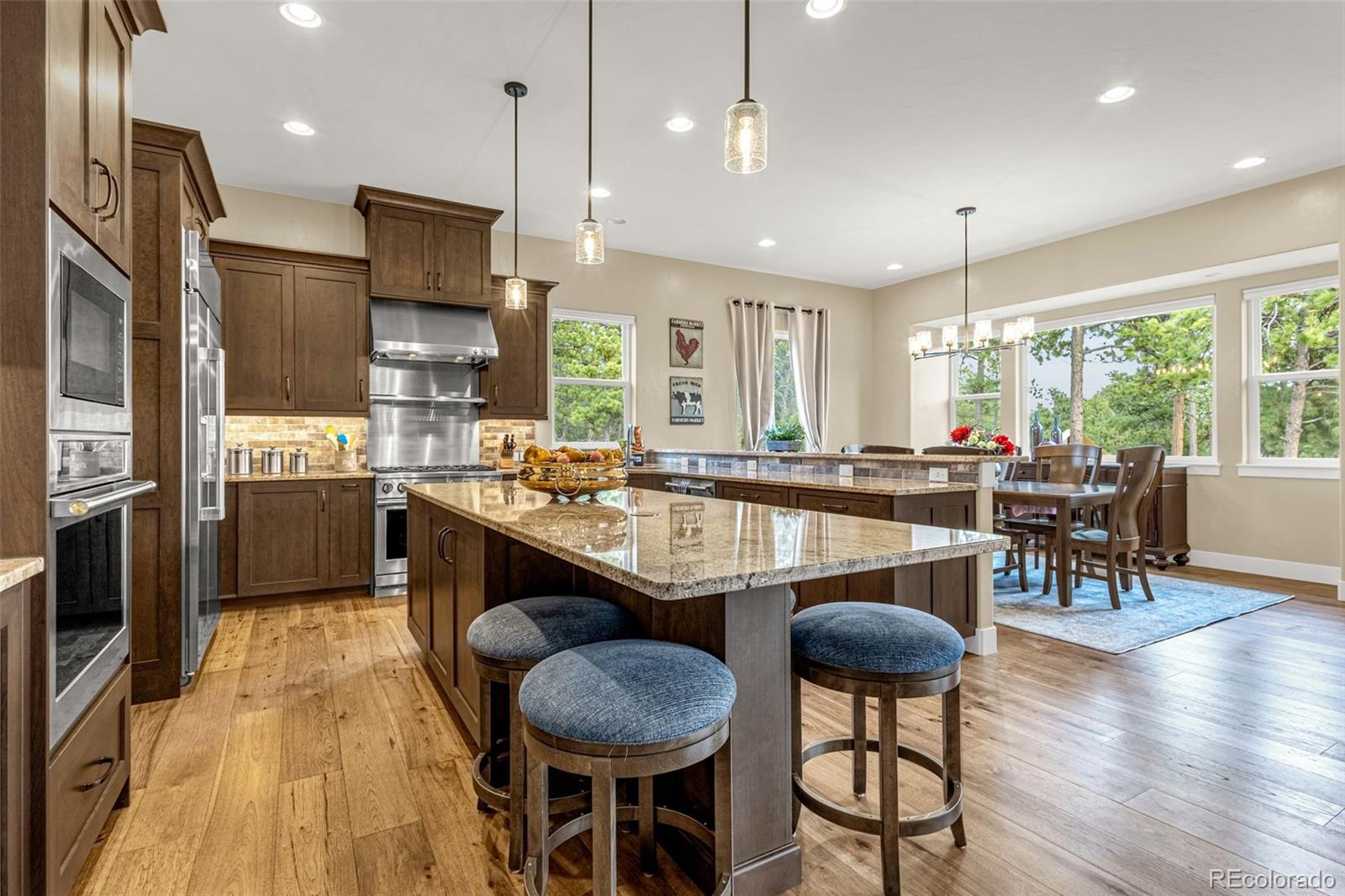 MLS Image #10 for 1325  boldmere court,monument, Colorado