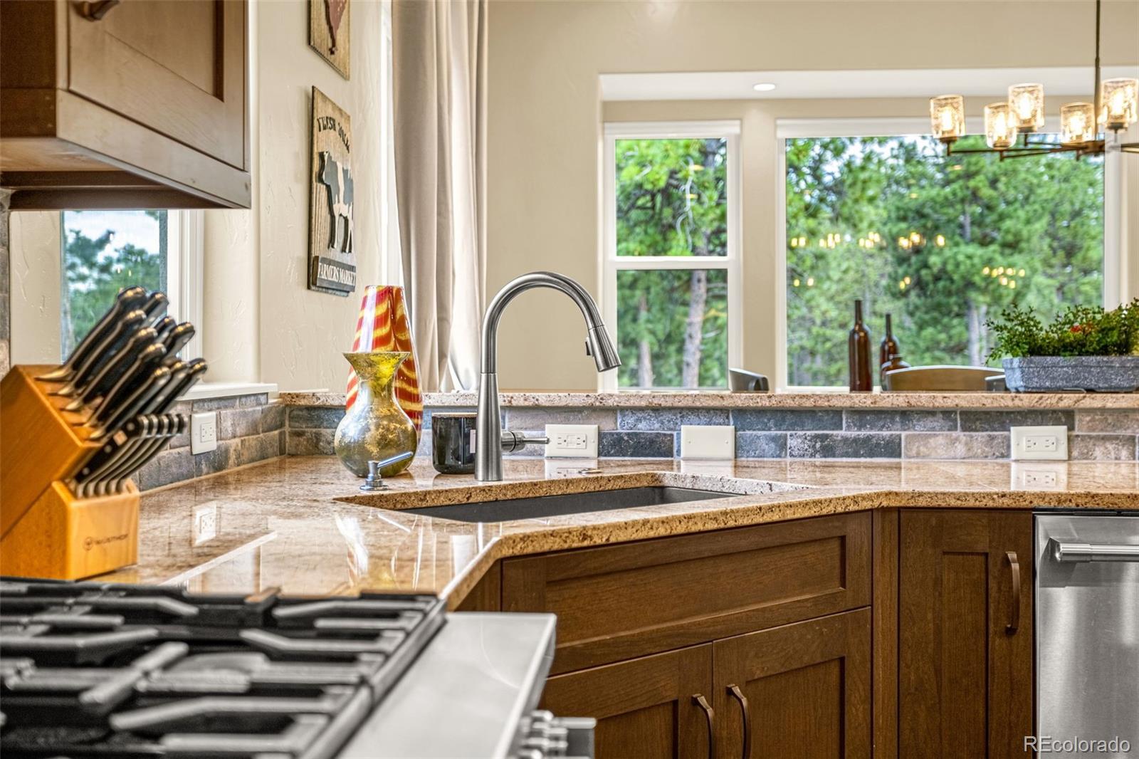 MLS Image #13 for 1325  boldmere court,monument, Colorado