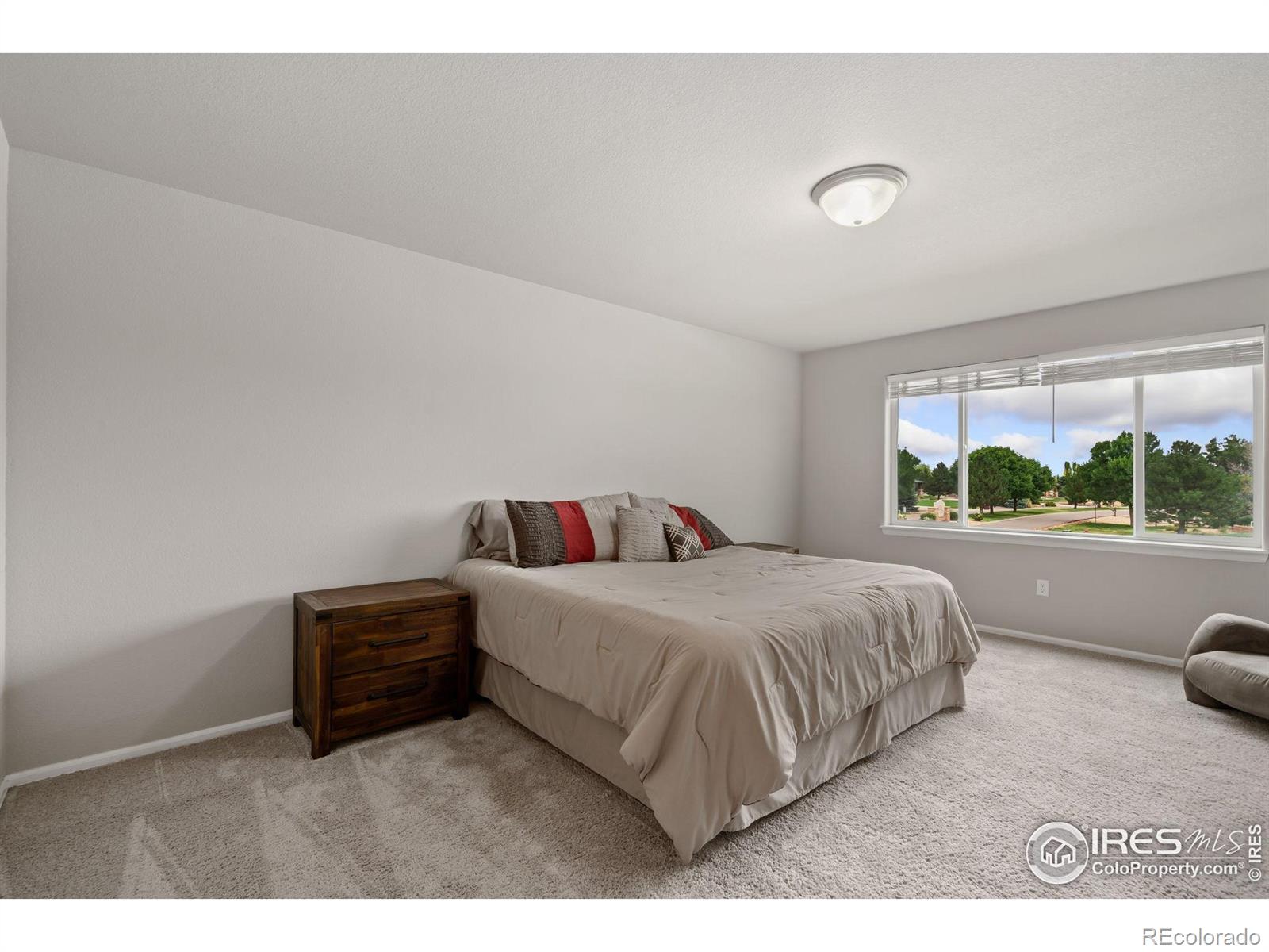 MLS Image #18 for 734  takin drive,severance, Colorado