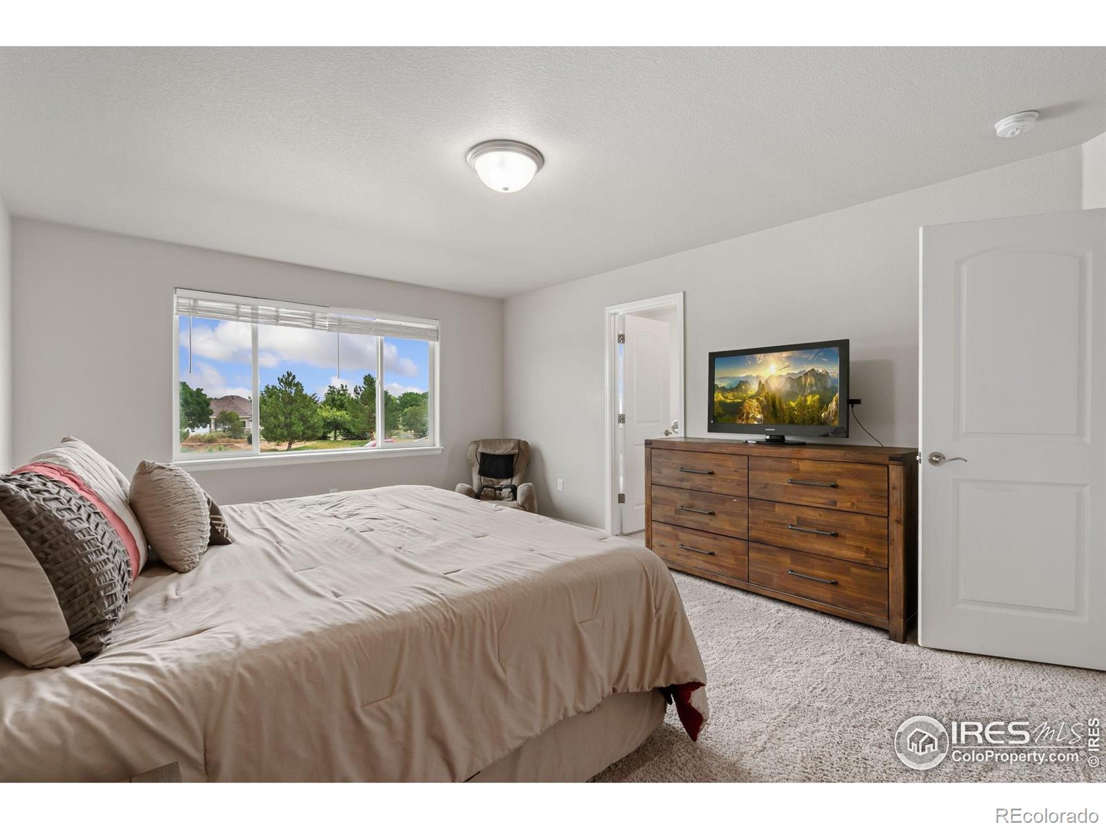 MLS Image #19 for 734  takin drive,severance, Colorado
