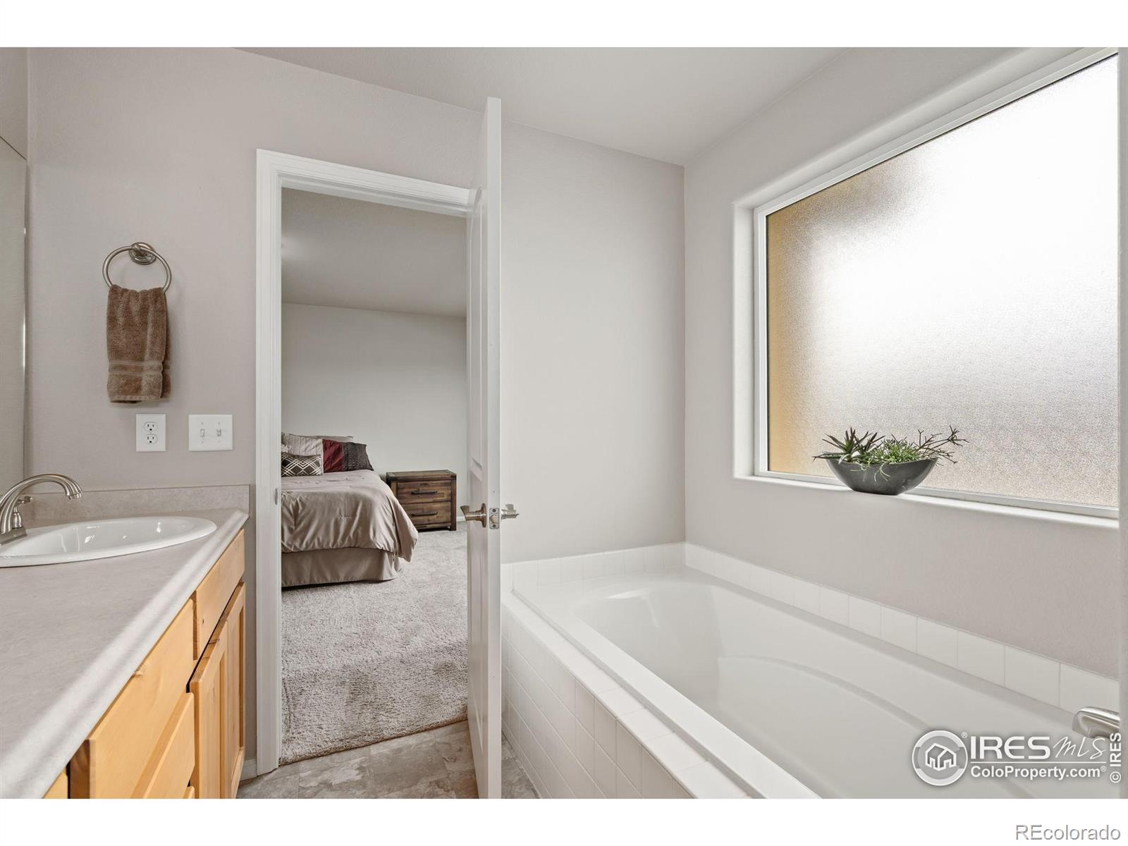 MLS Image #22 for 734  takin drive,severance, Colorado