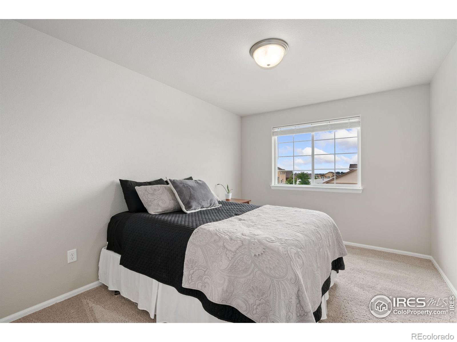MLS Image #23 for 734  takin drive,severance, Colorado